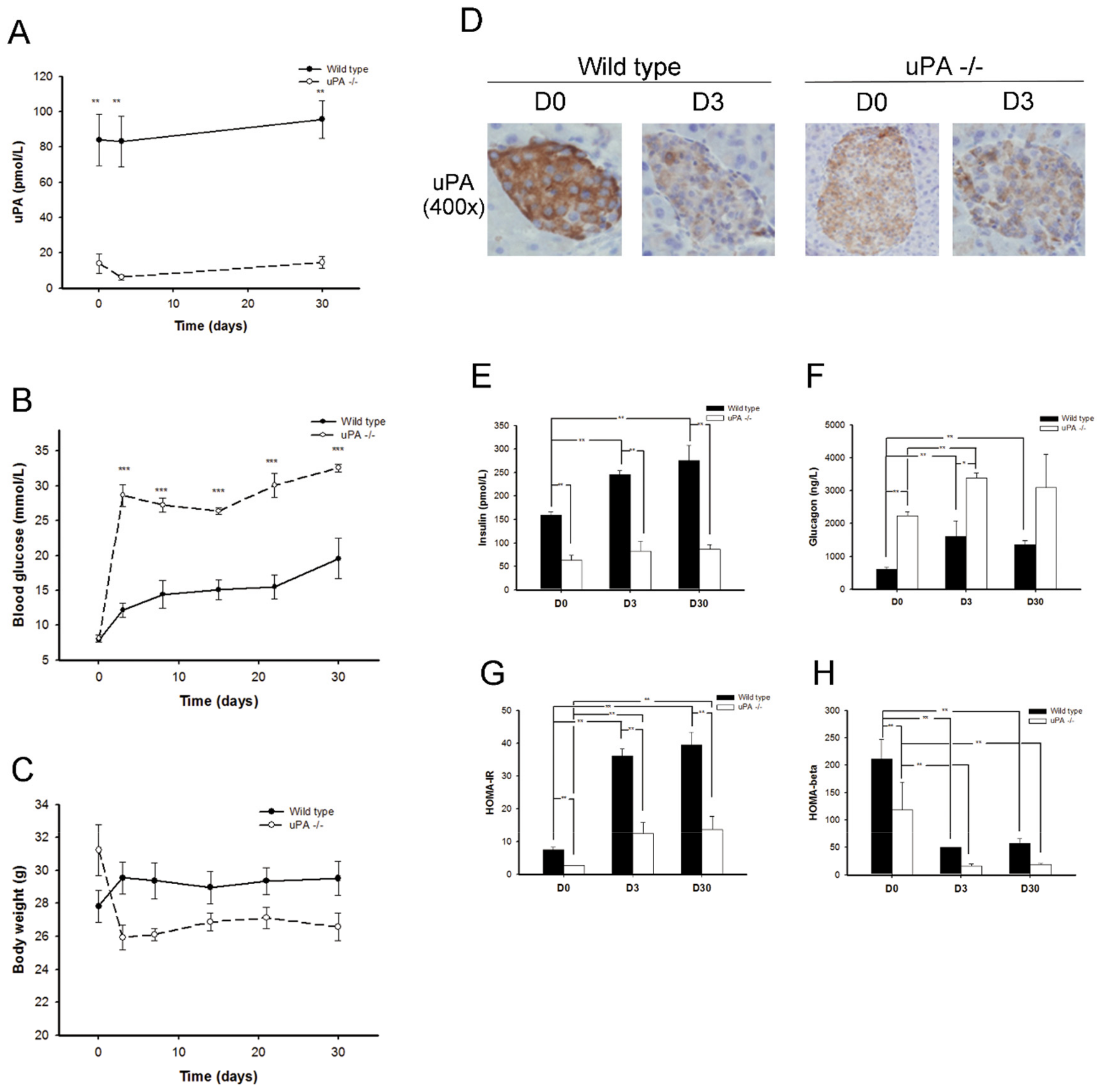 Molecules 24 04208 g001 Molecules 24 04208 g001