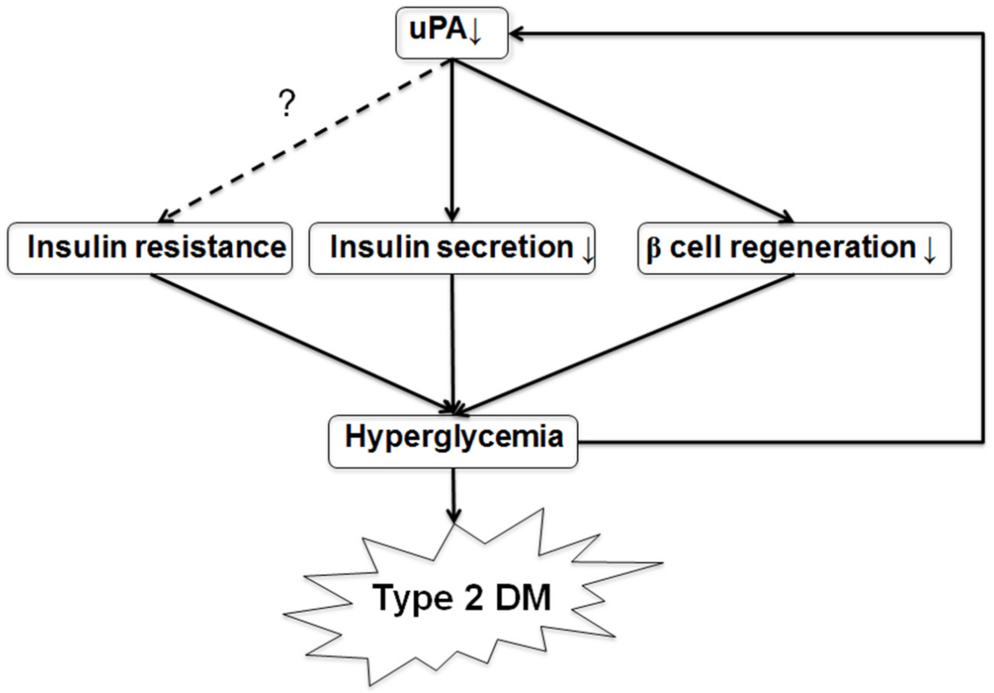 Molecules 24 04208 g007 Molecules 24 04208 g007