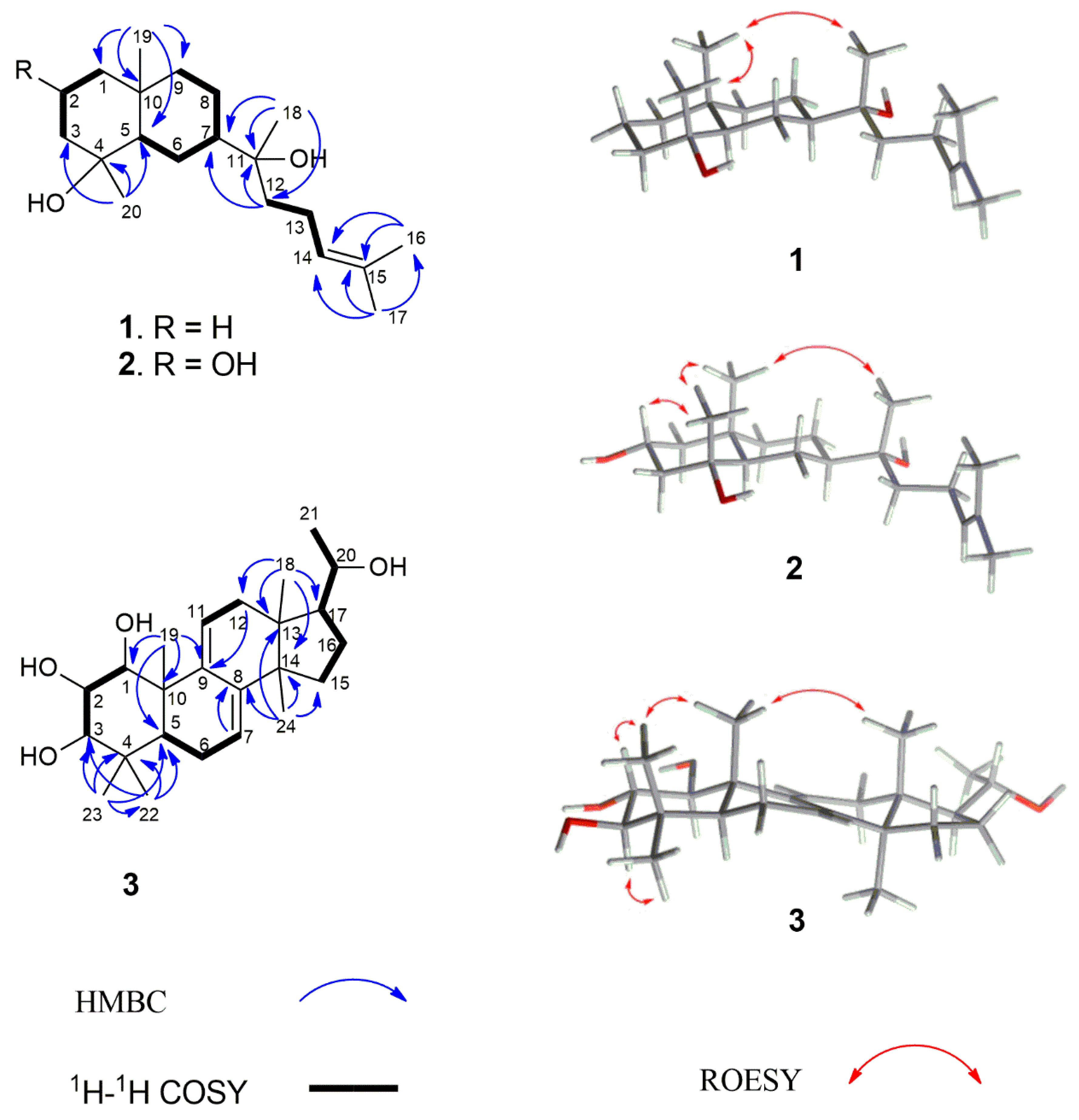 Molecules 24 04276 g002