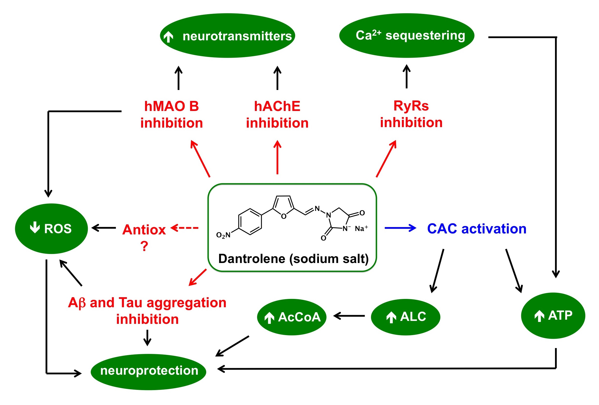 Dantrolene sodium toxicity