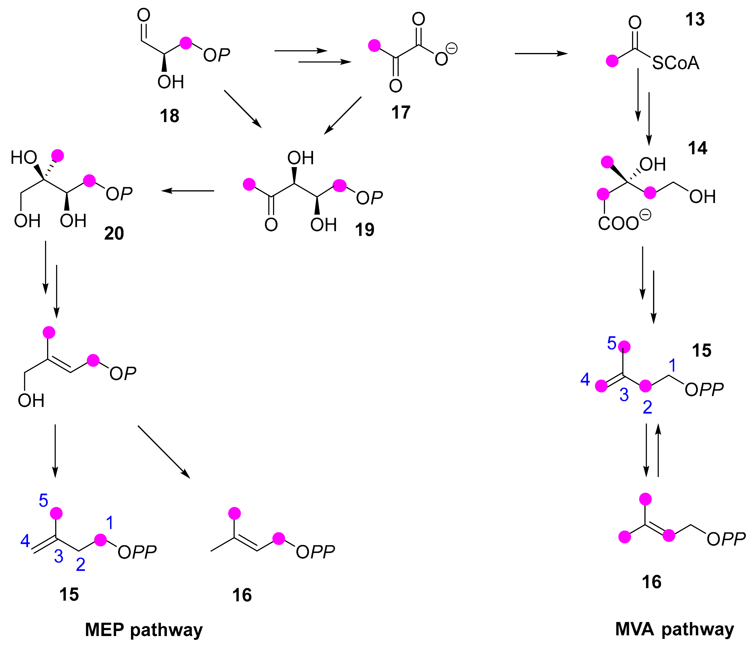 Molecules 24 04322 sch004 Molecules 24 04322 sch004
