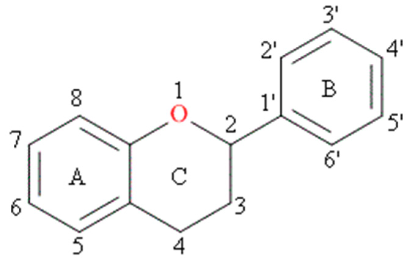Molecules 24 04335 g001