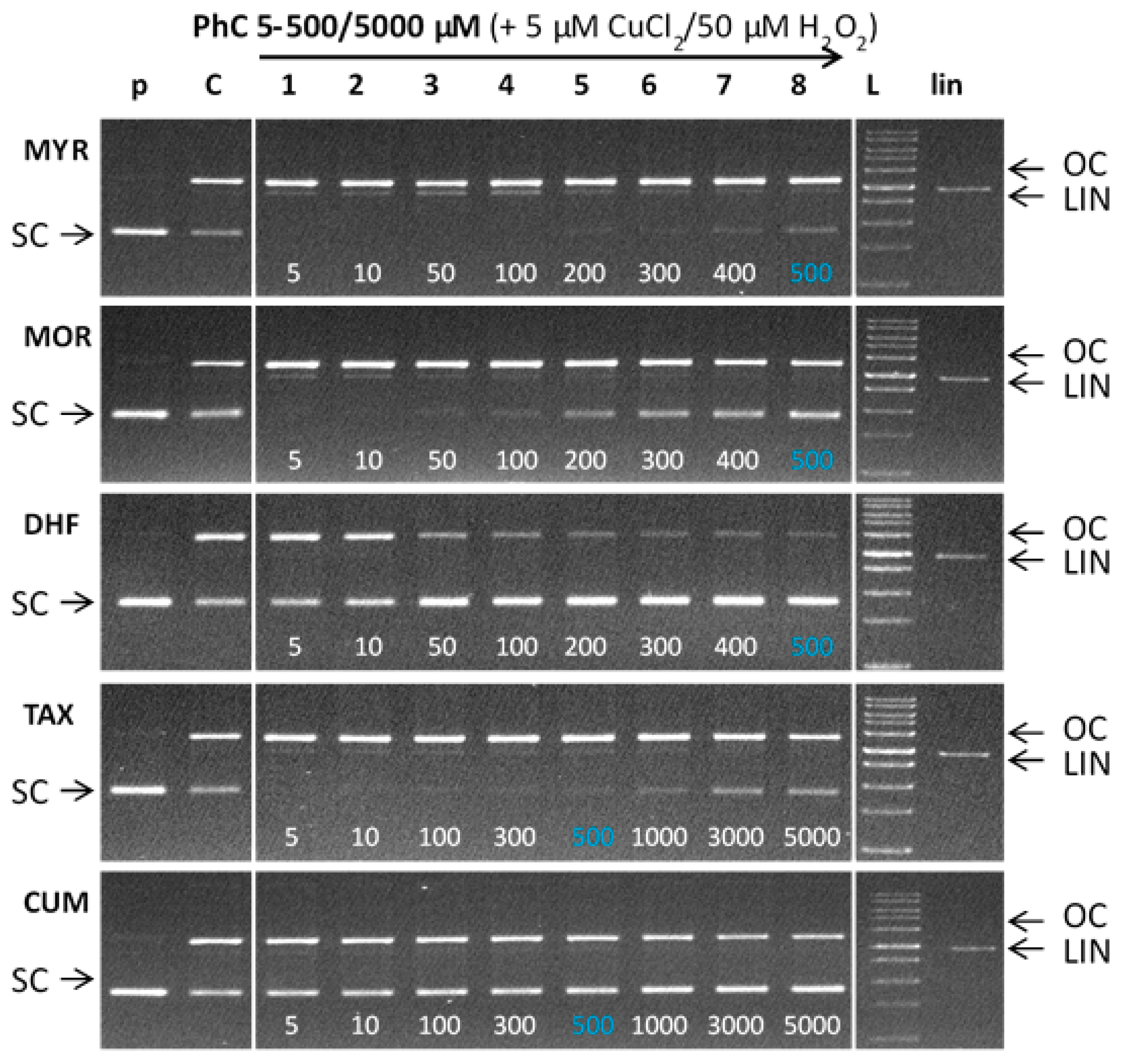 Molecules 24 04335 g009