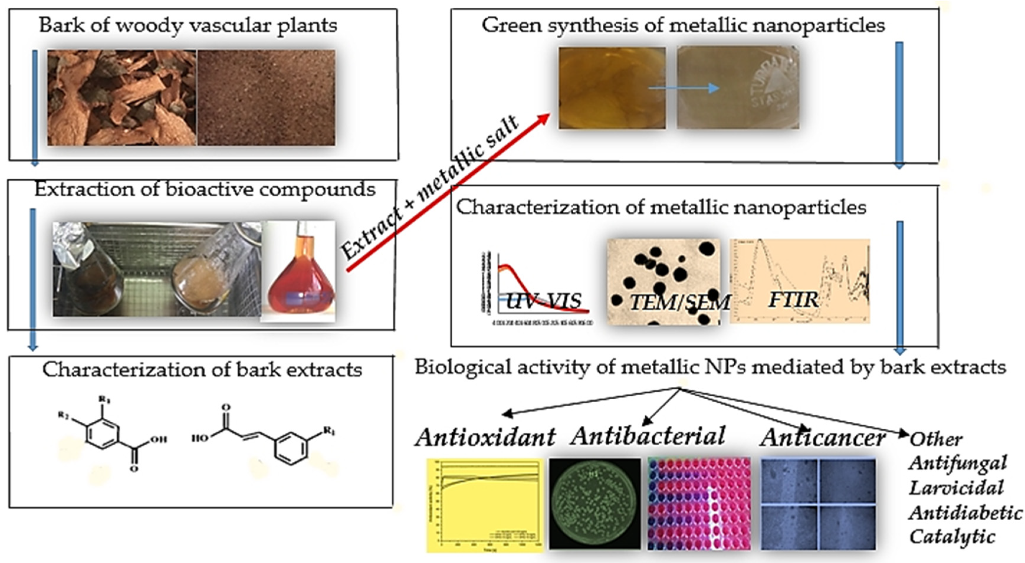 Molecules 24 04354 g001