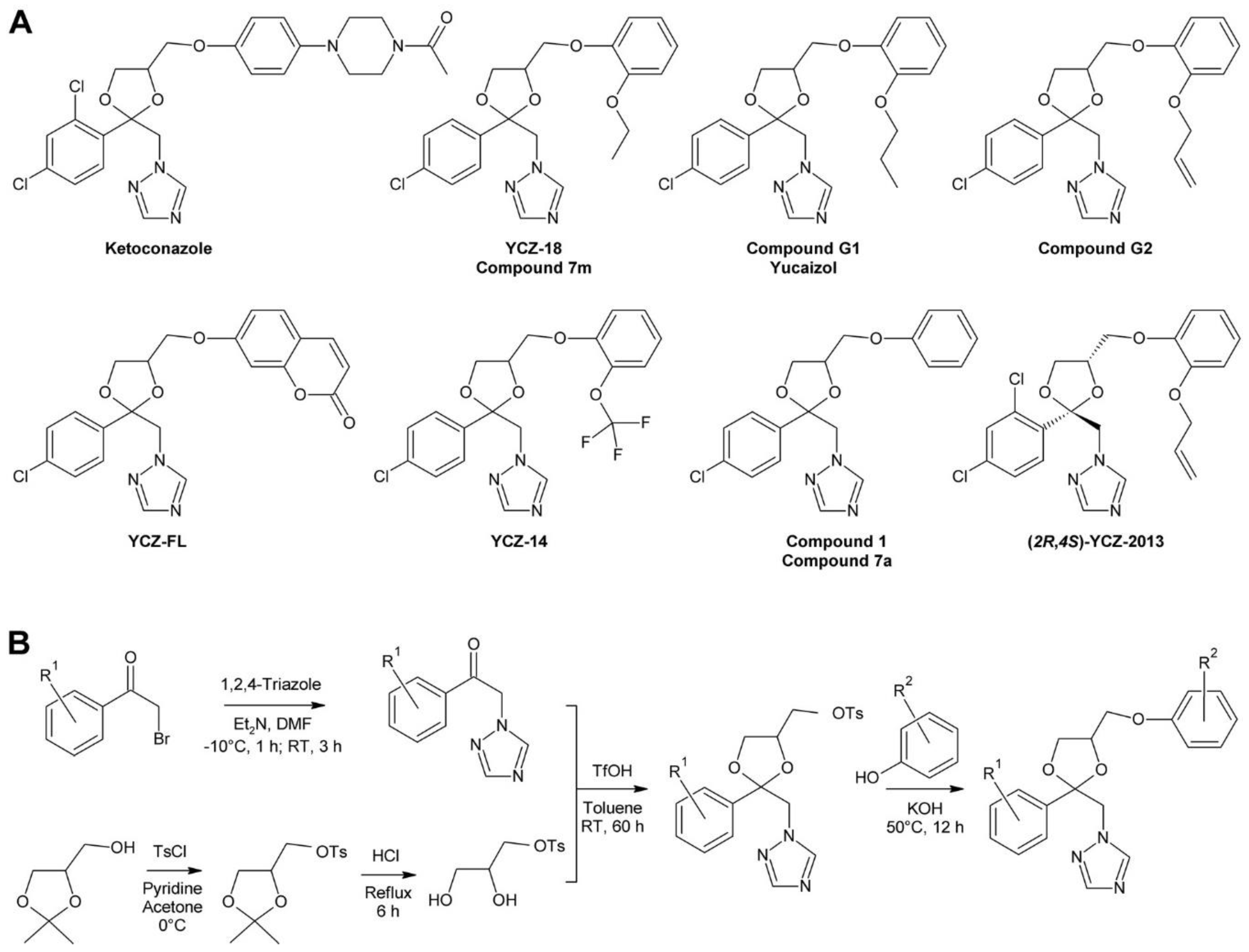 Molecules 24 04372 g008