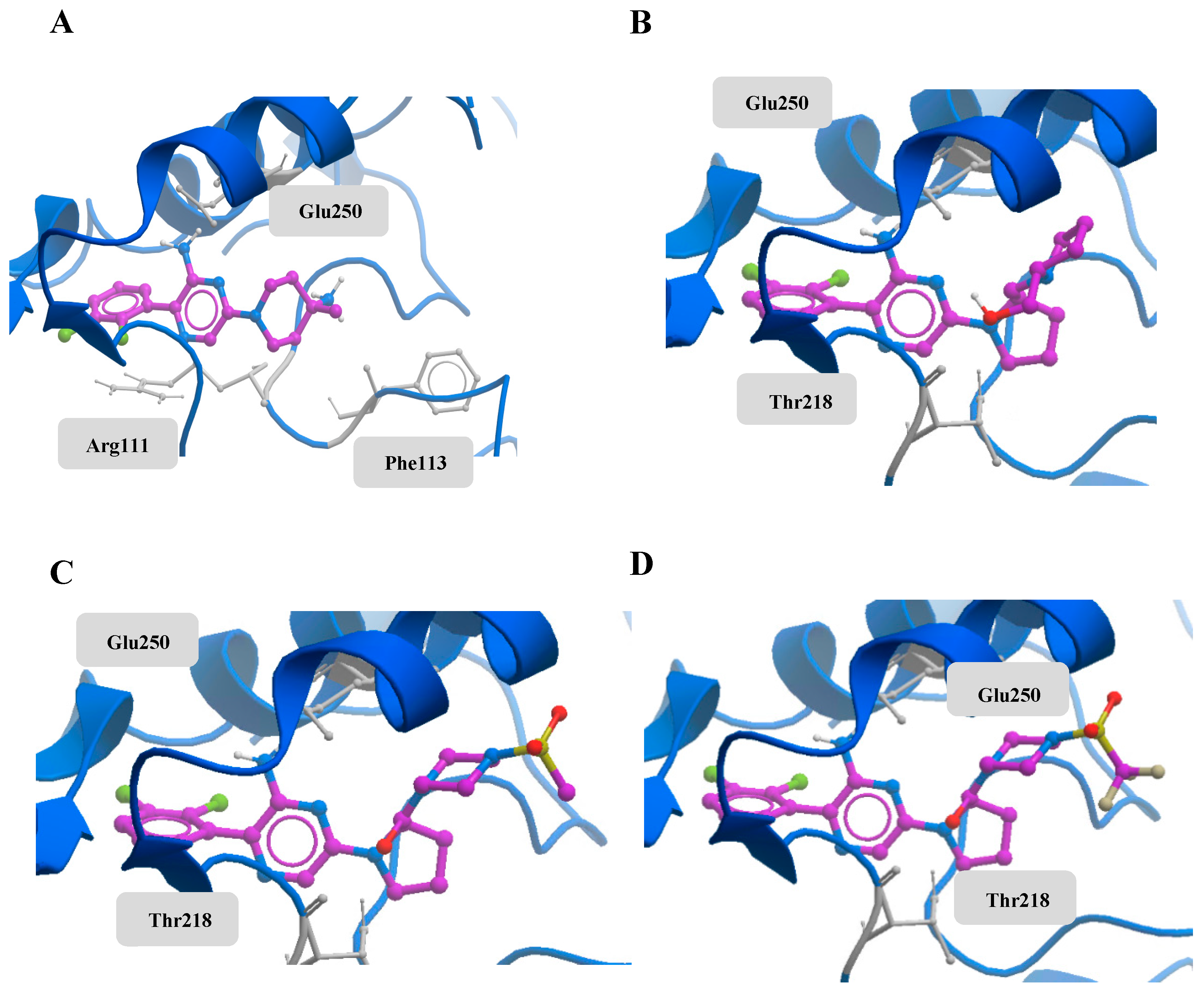 Molecules 24 04389 g003