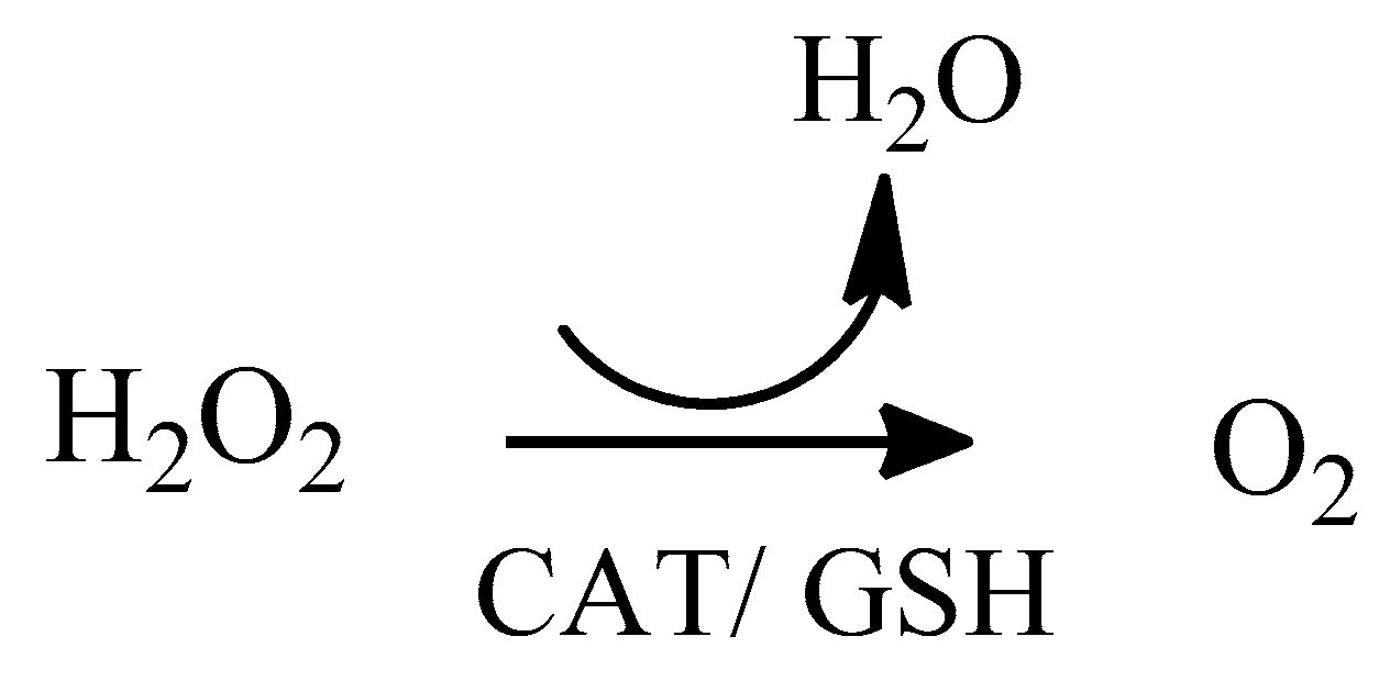 Molecules 24 04410 sch002