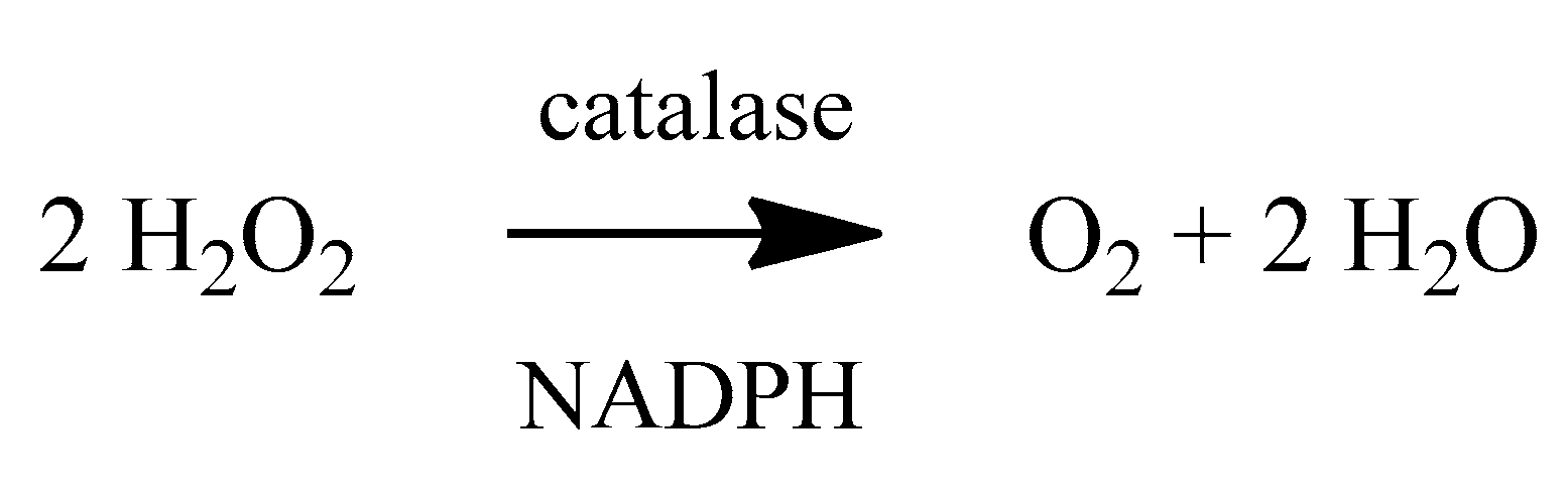 Molecules 24 04410 sch003