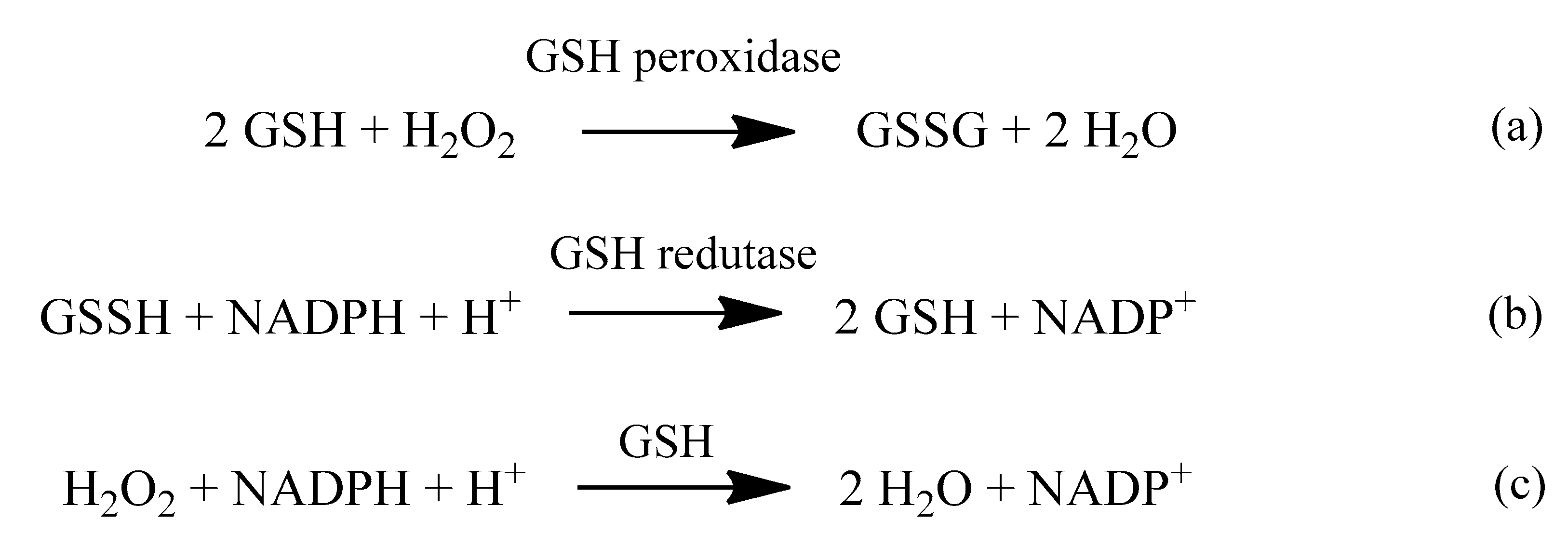 Molecules 24 04410 sch004