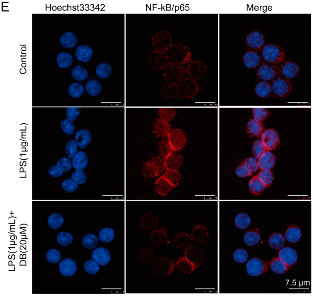 Molecules 24 04502 g003b