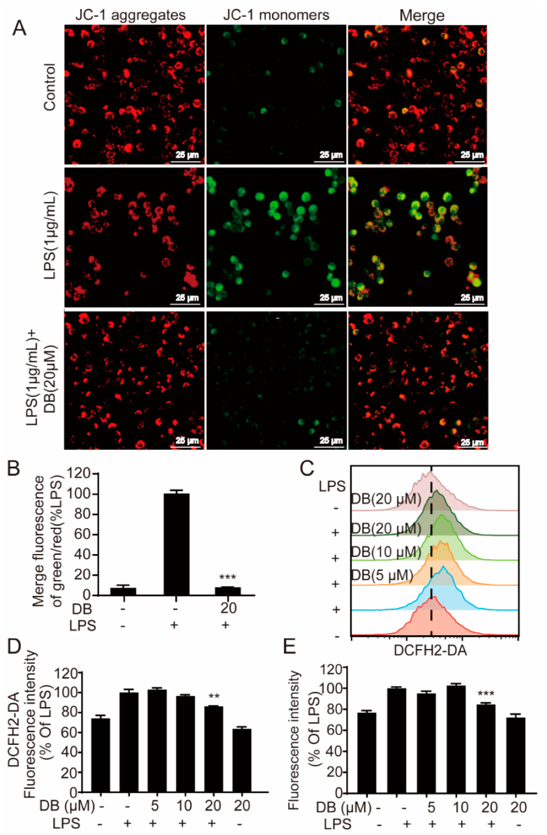 Molecules 24 04502 g005