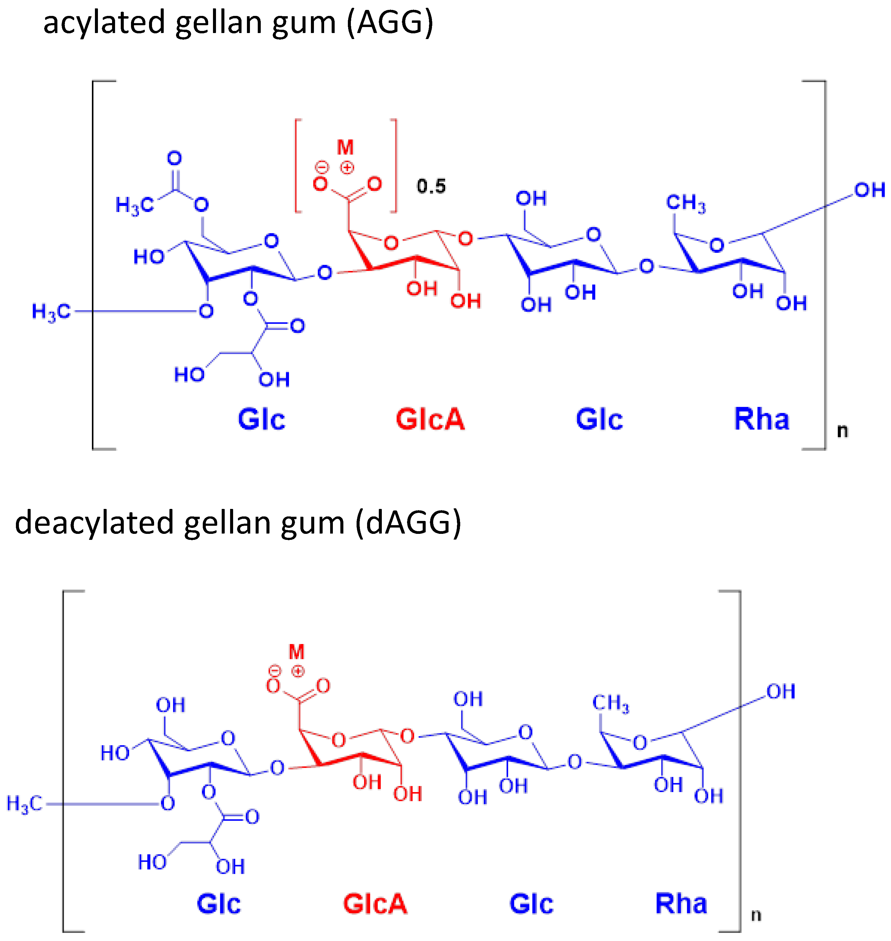 Molecules | Free Full-Text | Biological Role of Gellan Gum in Improving  Scaffold Drug Delivery, Cell Adhesion Properties for Tissue Engineering  Applications | HTML