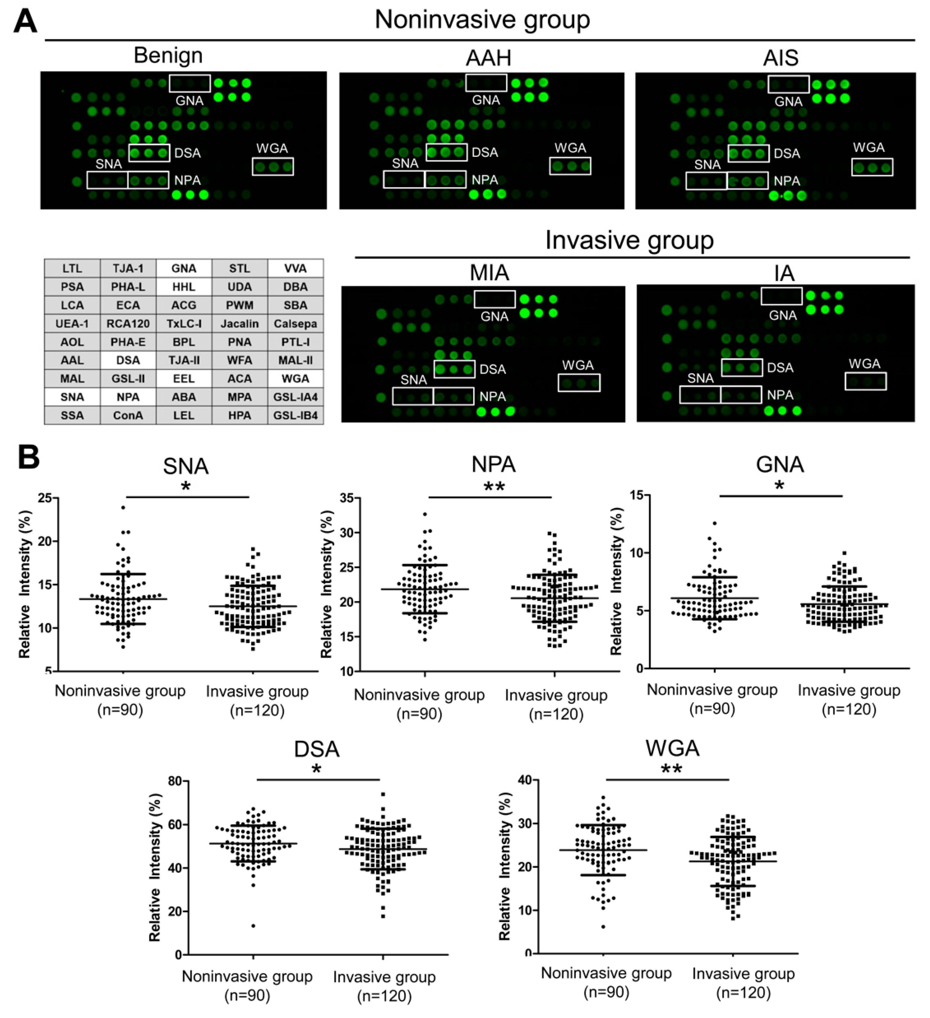 Molecules | Free Full-Text | Glycomic Signatures of Plasma IgG 