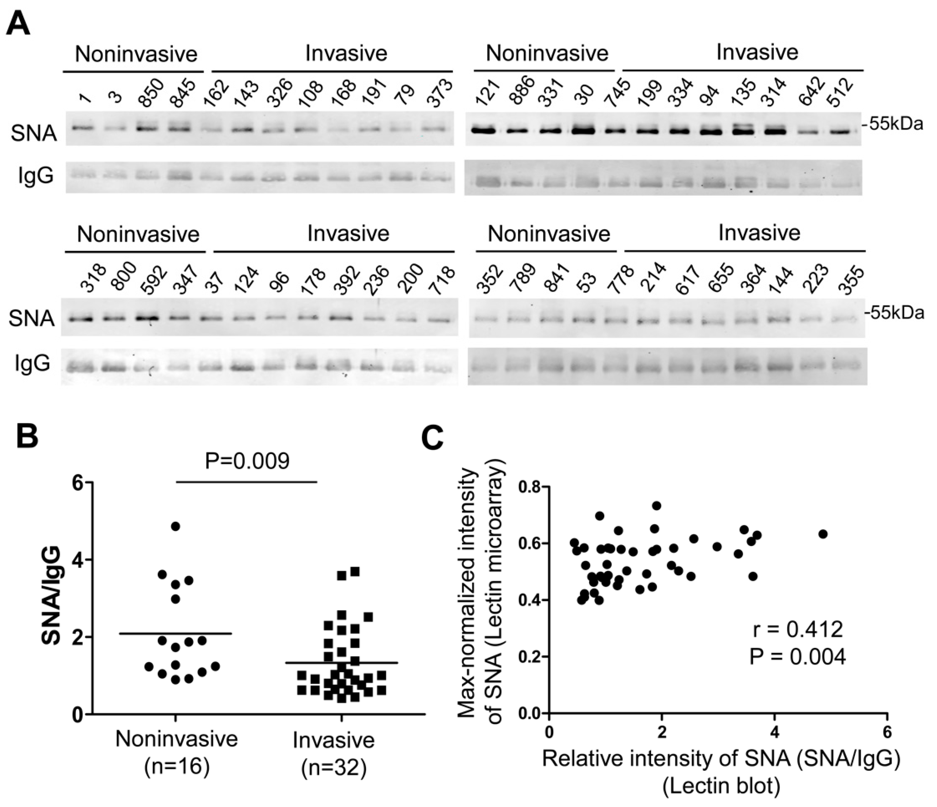 Molecules 25 00028 g003