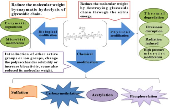 Molecules Free Full Text Effect Of The Modifications On The Physicochemical And Biological Properties Of B Glucan A Critical Review Html