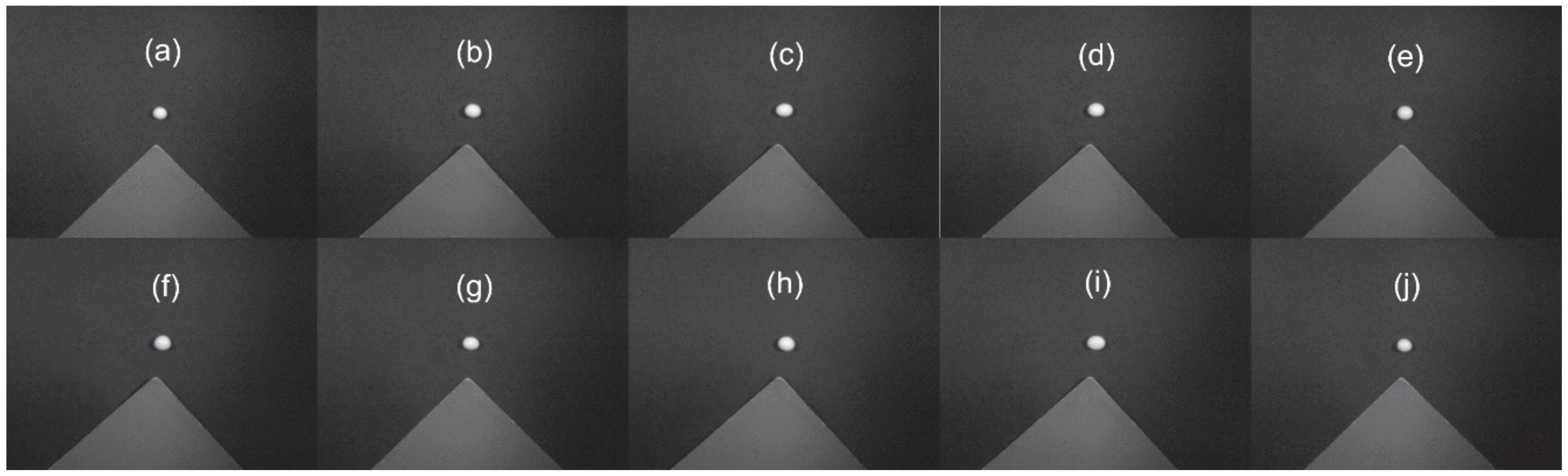Molecules 25 00152 g006