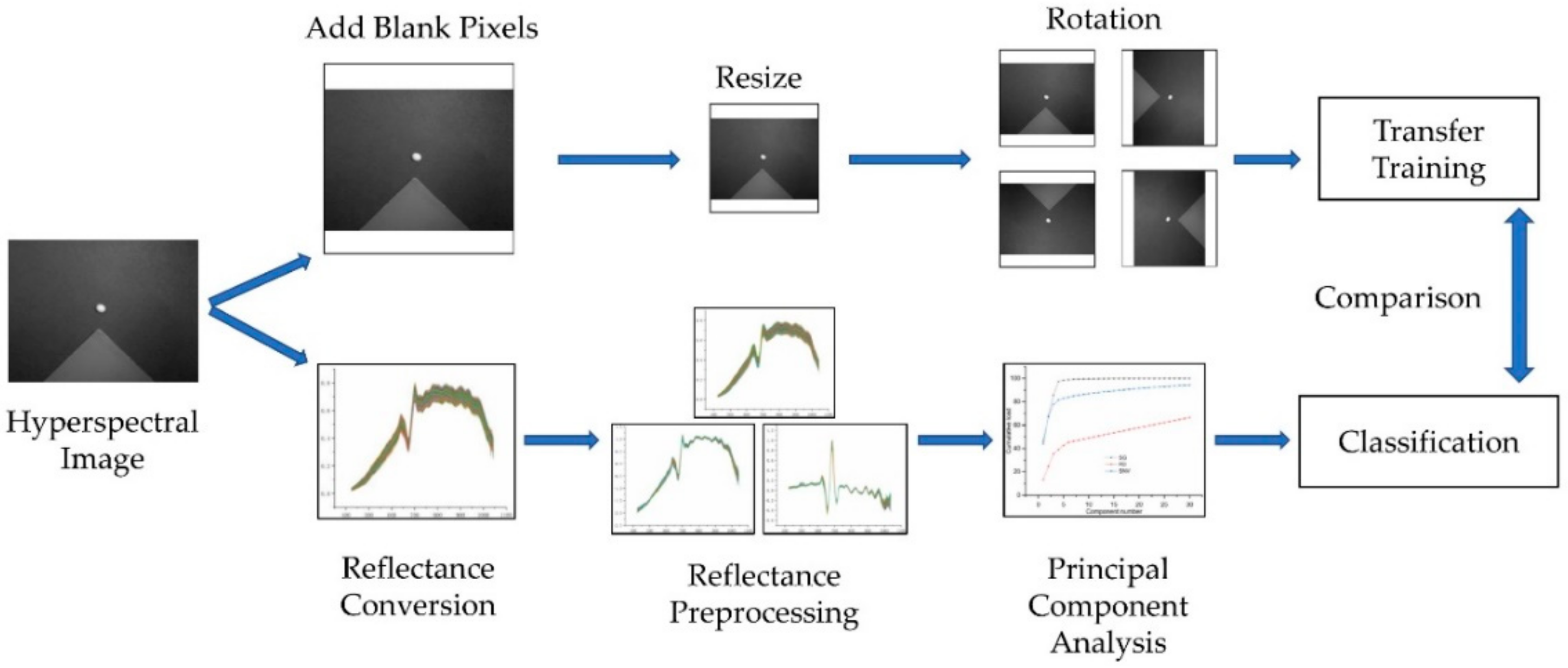 Molecules 25 00152 g008