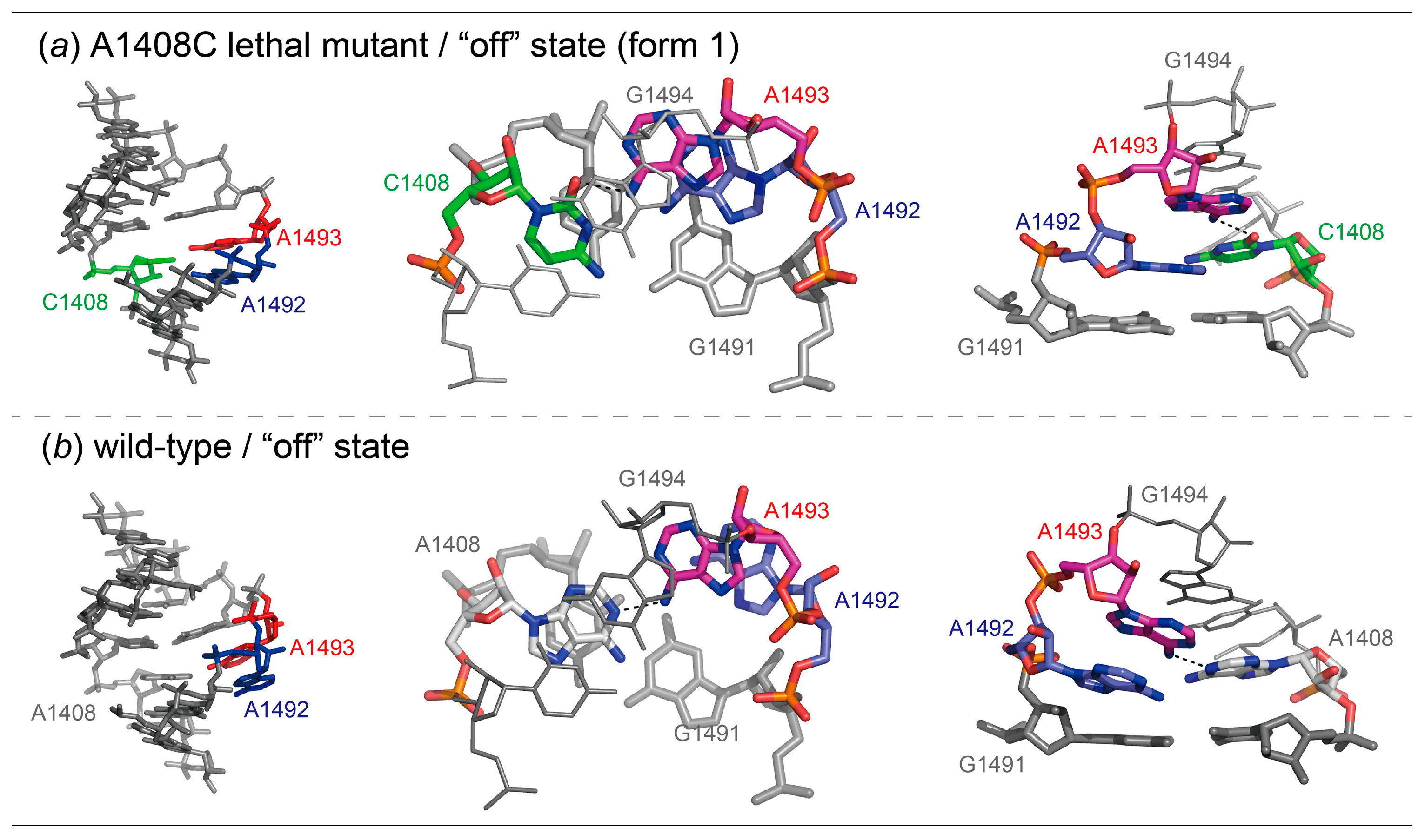 Molecules 25 00159 g003