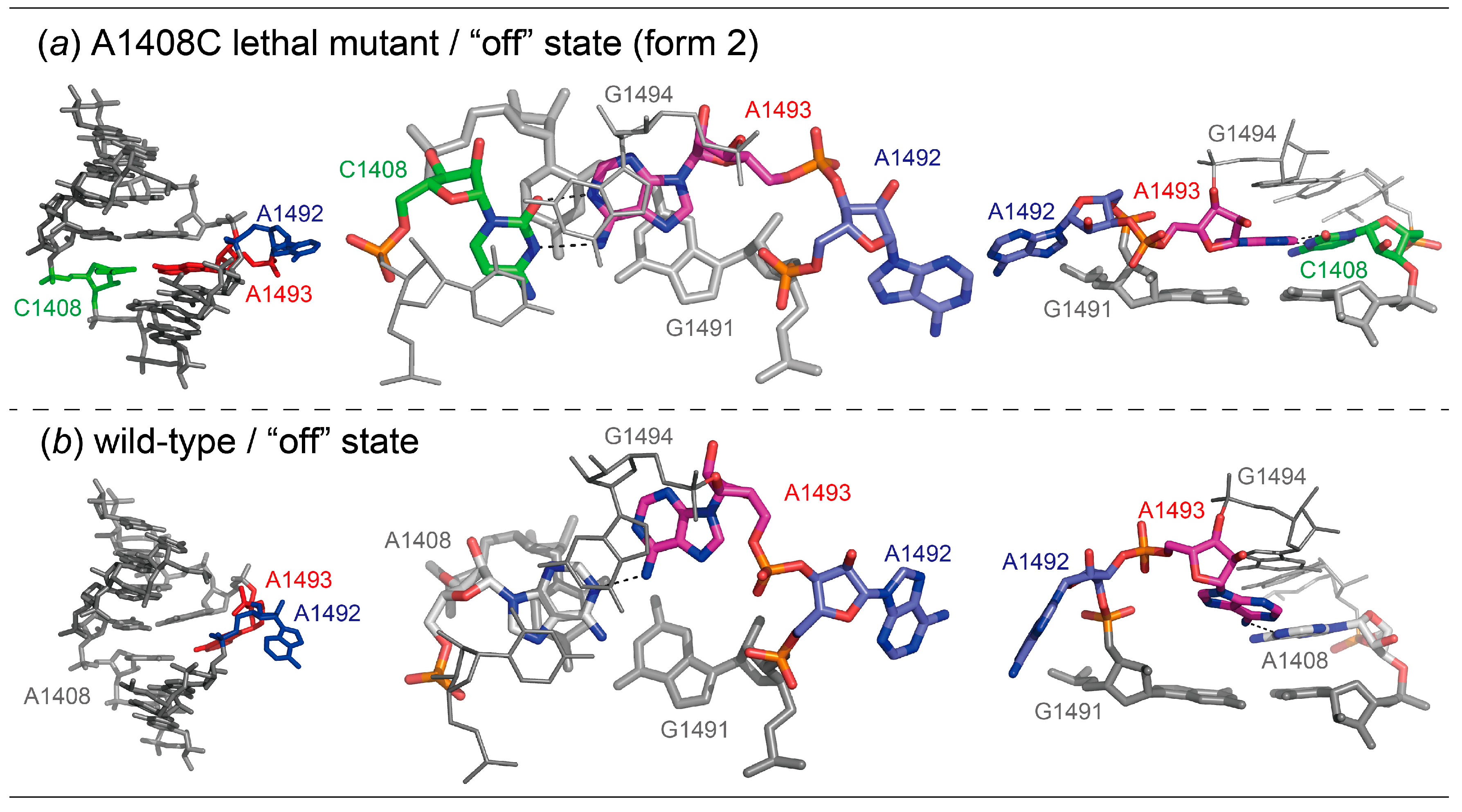 Molecules 25 00159 g004