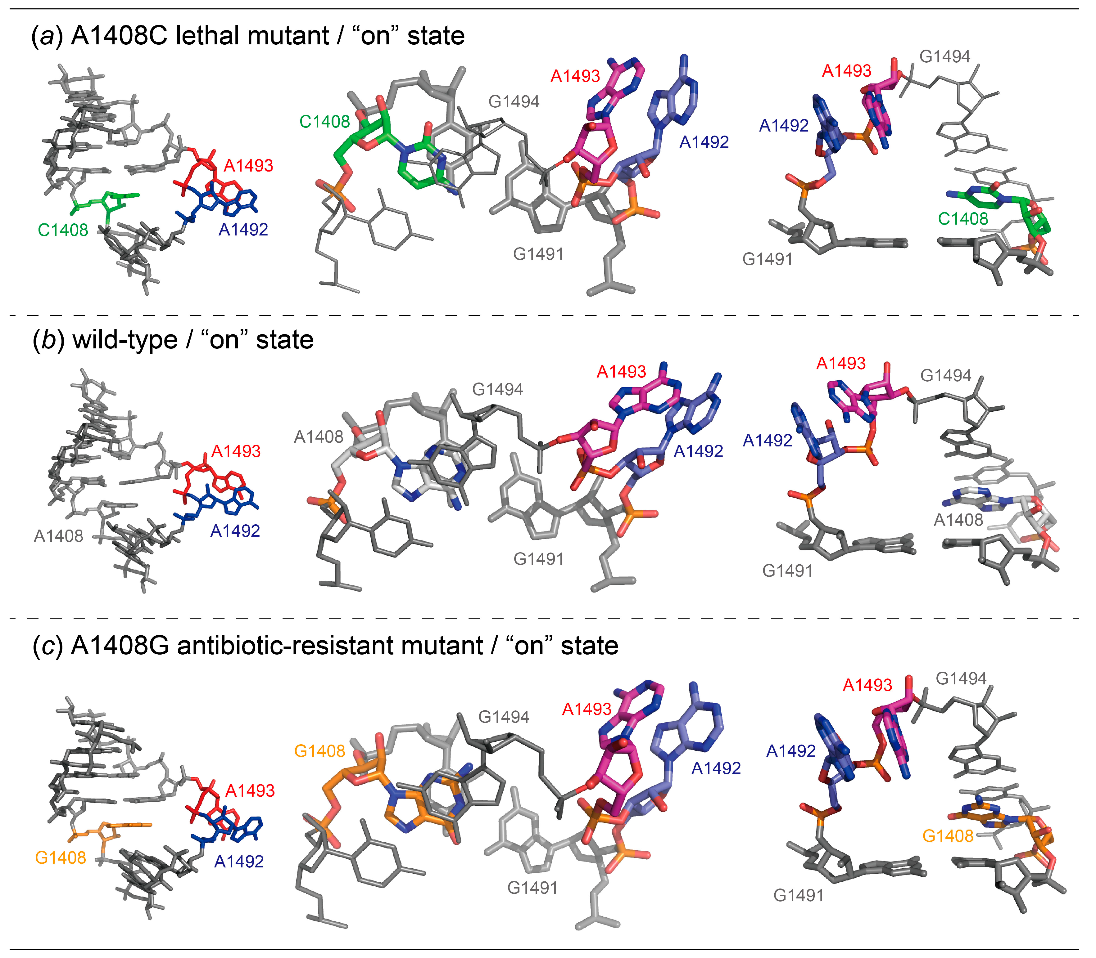 Molecules 25 00159 g005