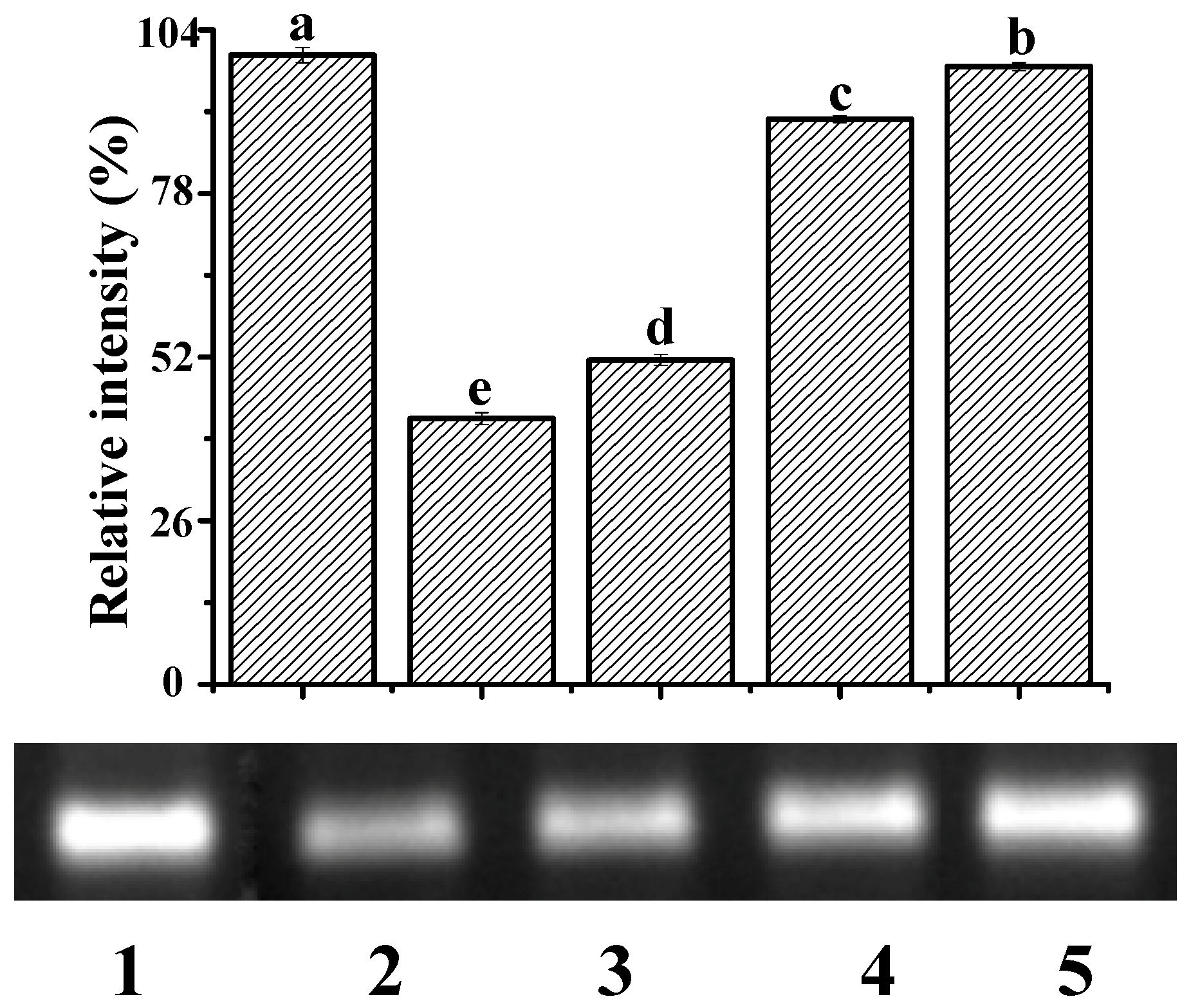 Molecules 25 00175 g007