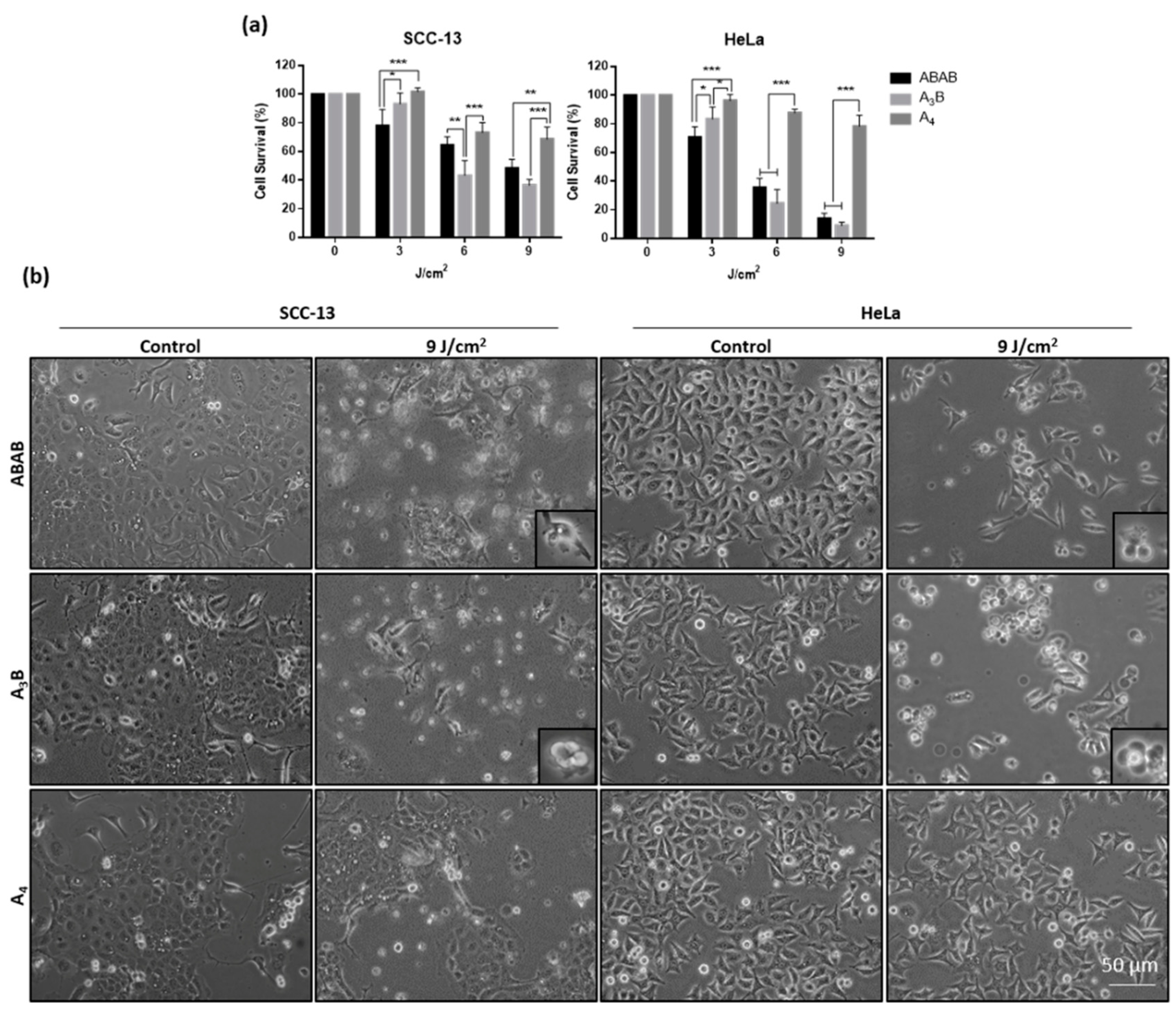 Molecules 25 00213 g004 Molecules 25 00213 g004