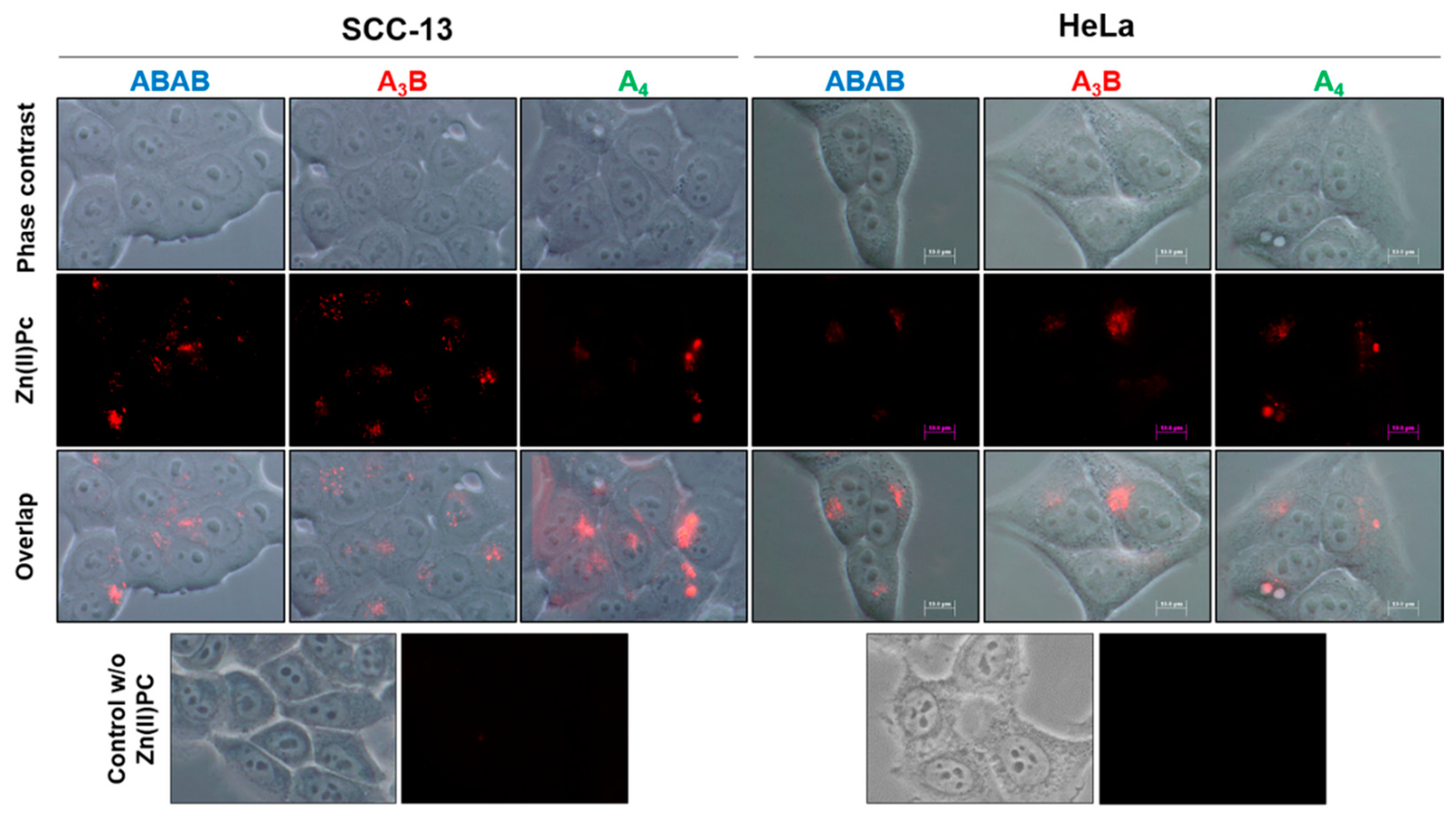 Molecules 25 00213 g005 Molecules 25 00213 g005
