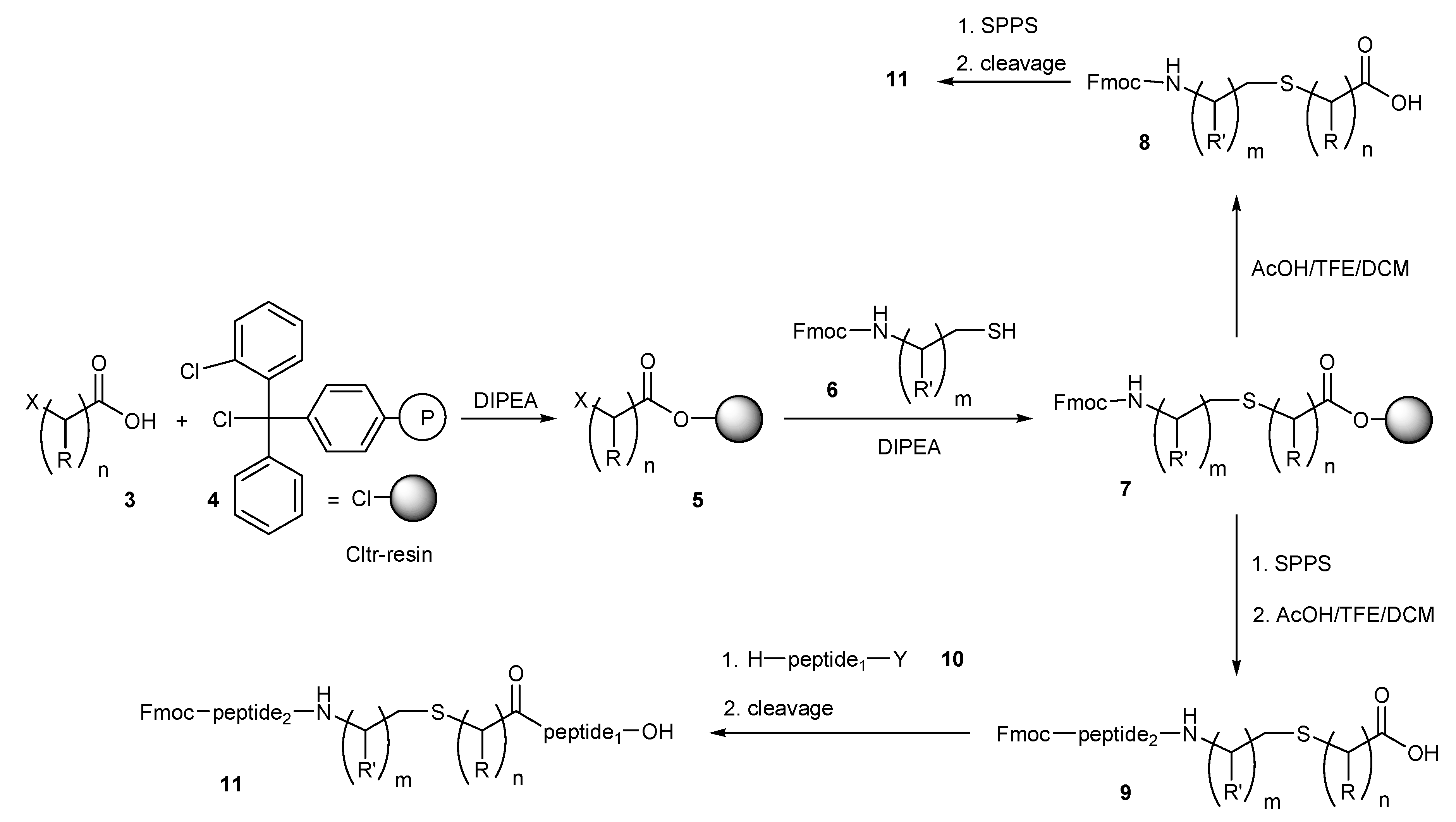 Molecules | Free Full-Text | Convergent Synthesis of Thioether Containing  Peptides | HTML