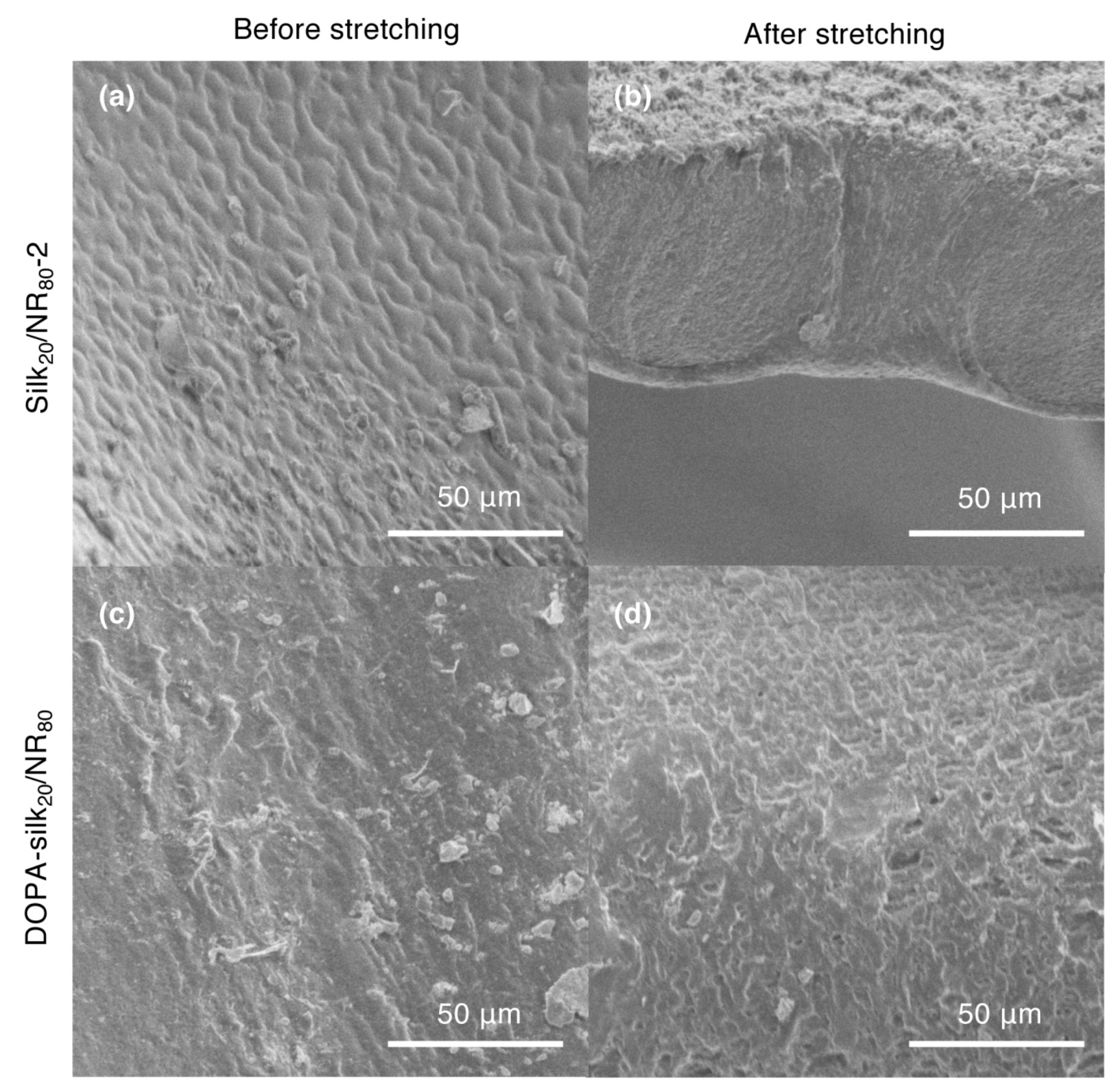 Molecules 25 00235 g012