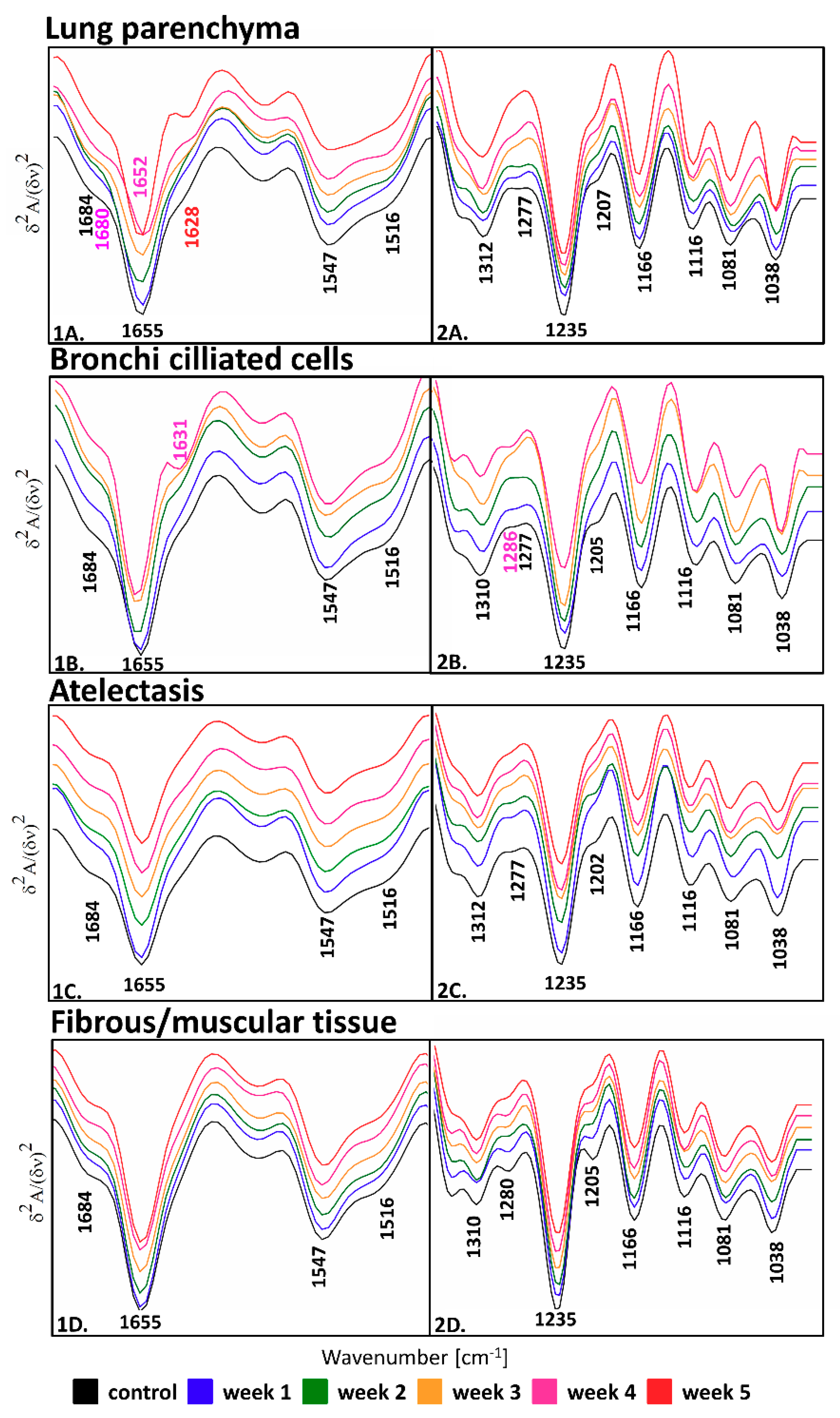 Molecules 25 00236 g002