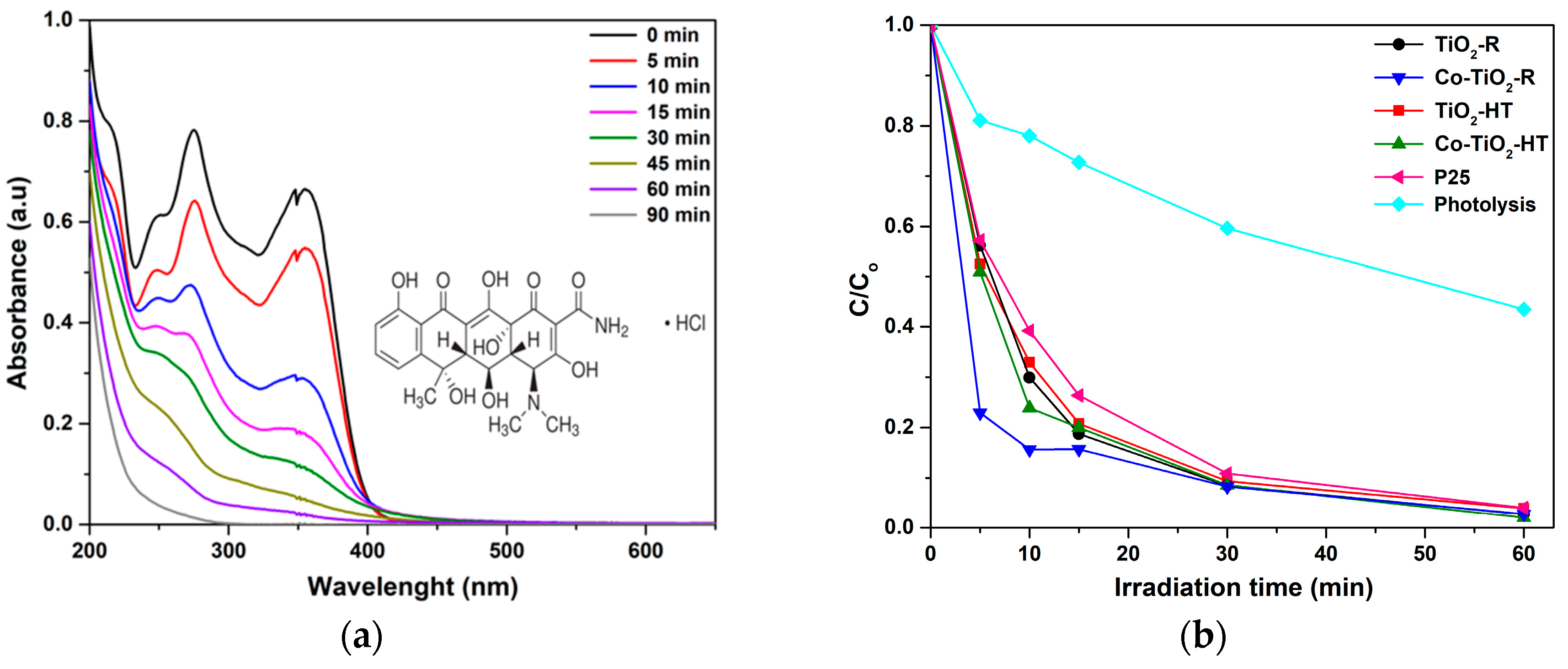 Molecules 25 00249 g004