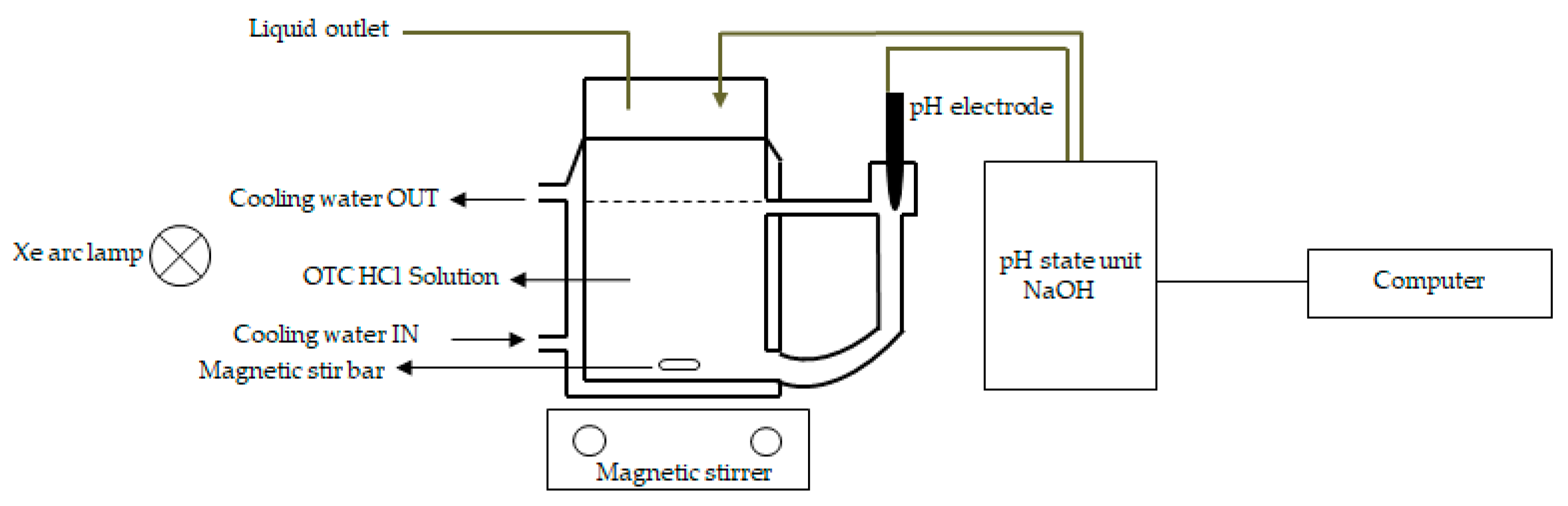 Molecules 25 00249 g006