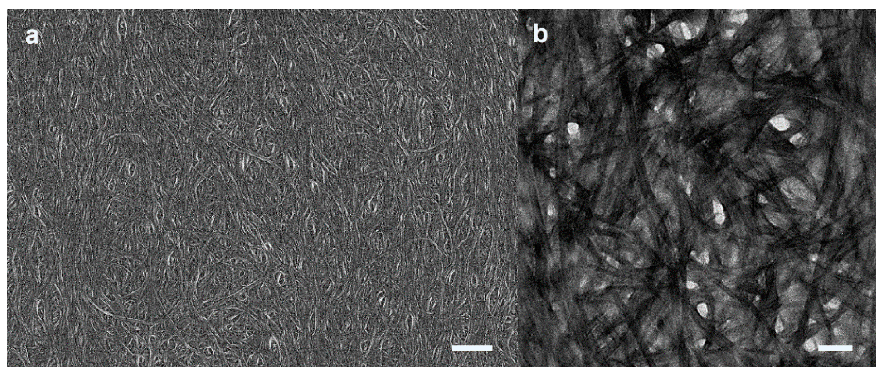 Molecules 25 00402 g002