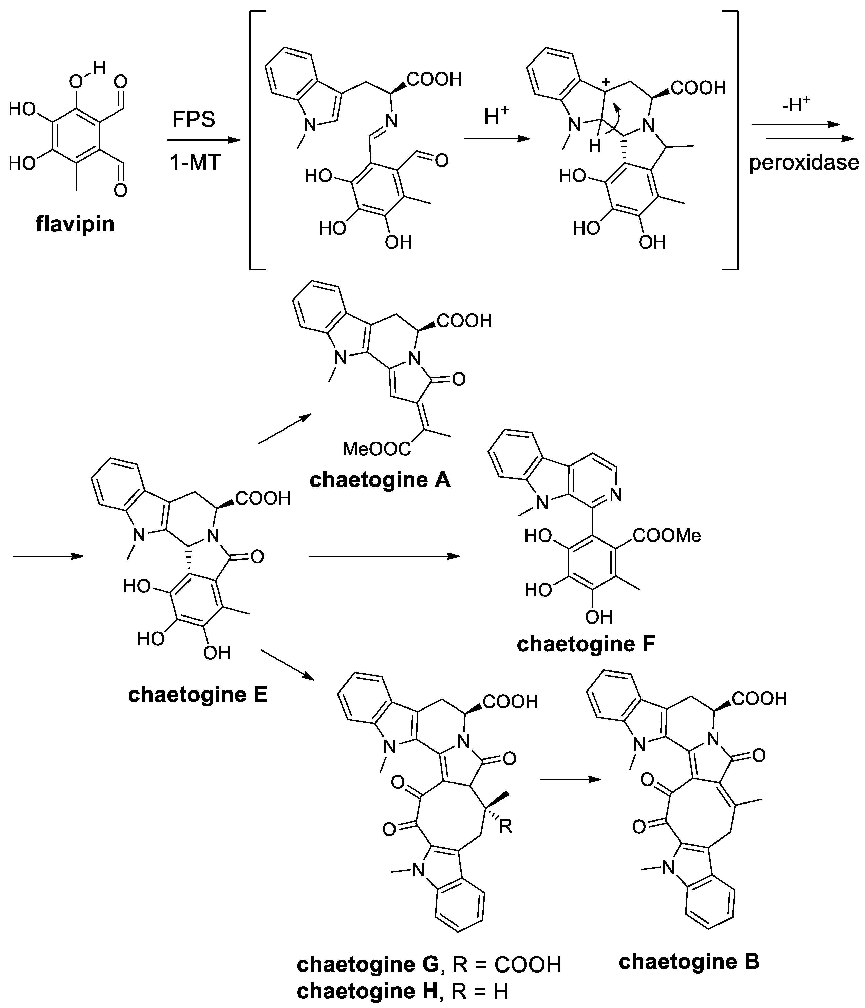 Molecules | Free Full-Text | The Pictet-Spengler Reaction ...