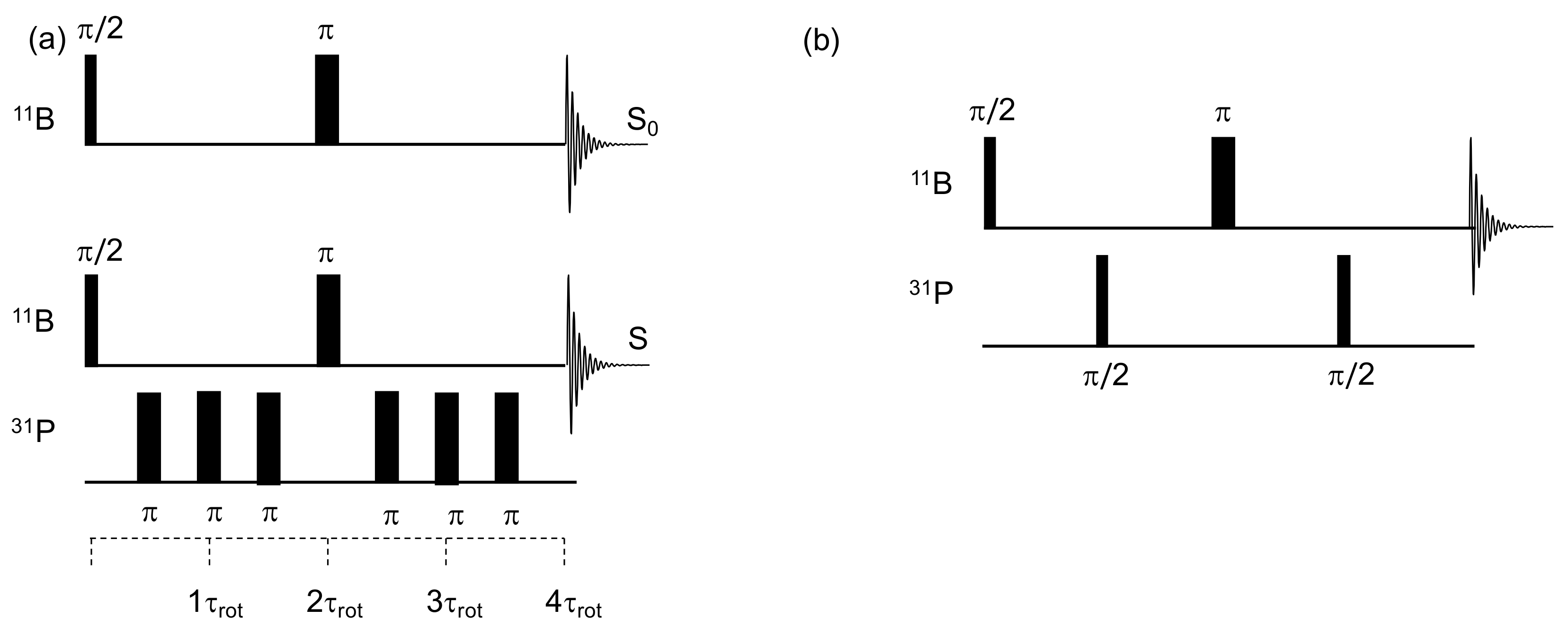 Molecules Free Full Text Solid State Nmr A Powerful Tool For The Characterization Of Borophosphate Glasses Html