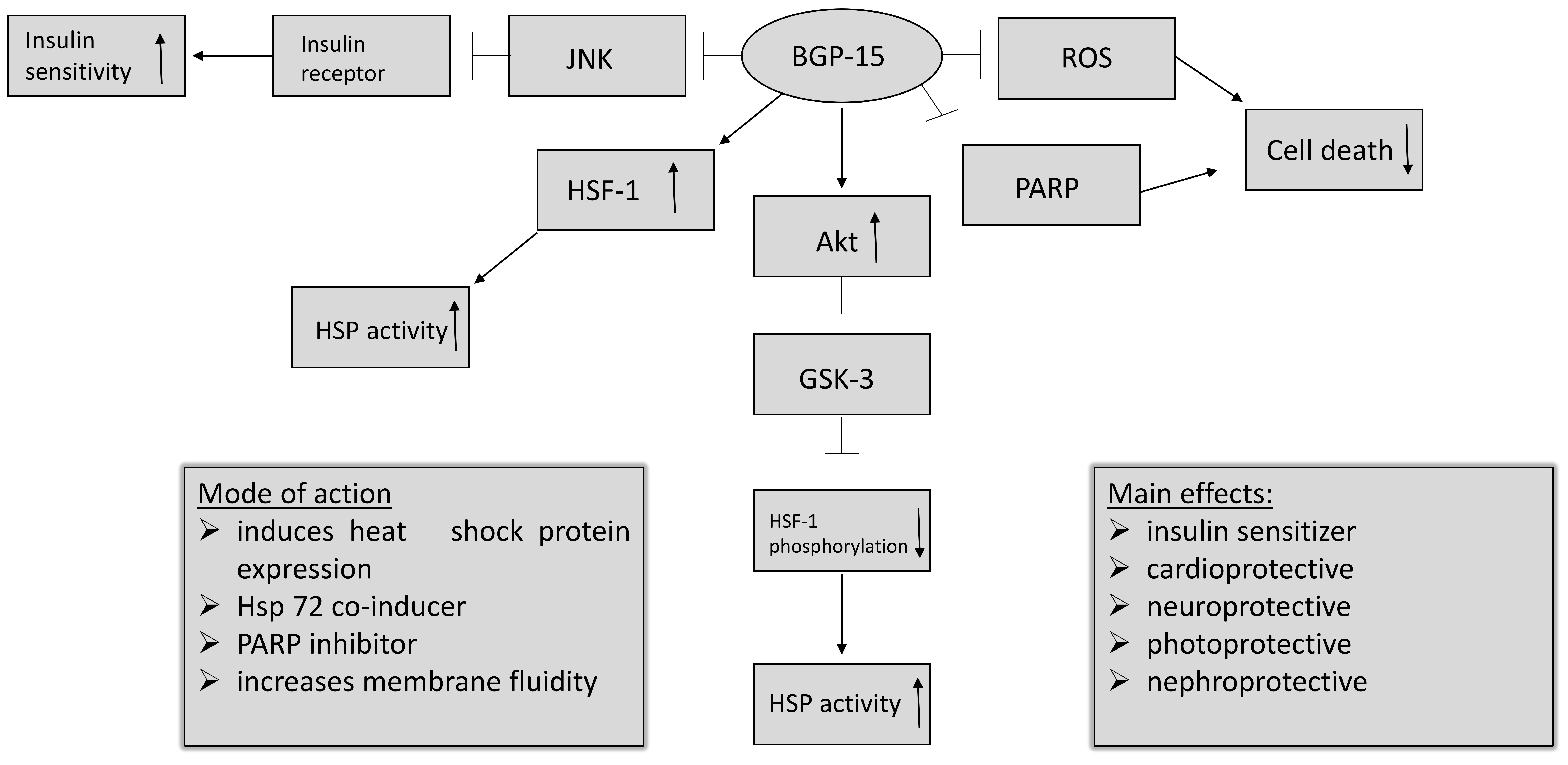 Molecules Free Full Text Pharmacological Overview Of The Bgp 15 Chemical Agent As A New Drug Candidate For The Treatment Of Symptoms Of Metabolic Syndrome Html