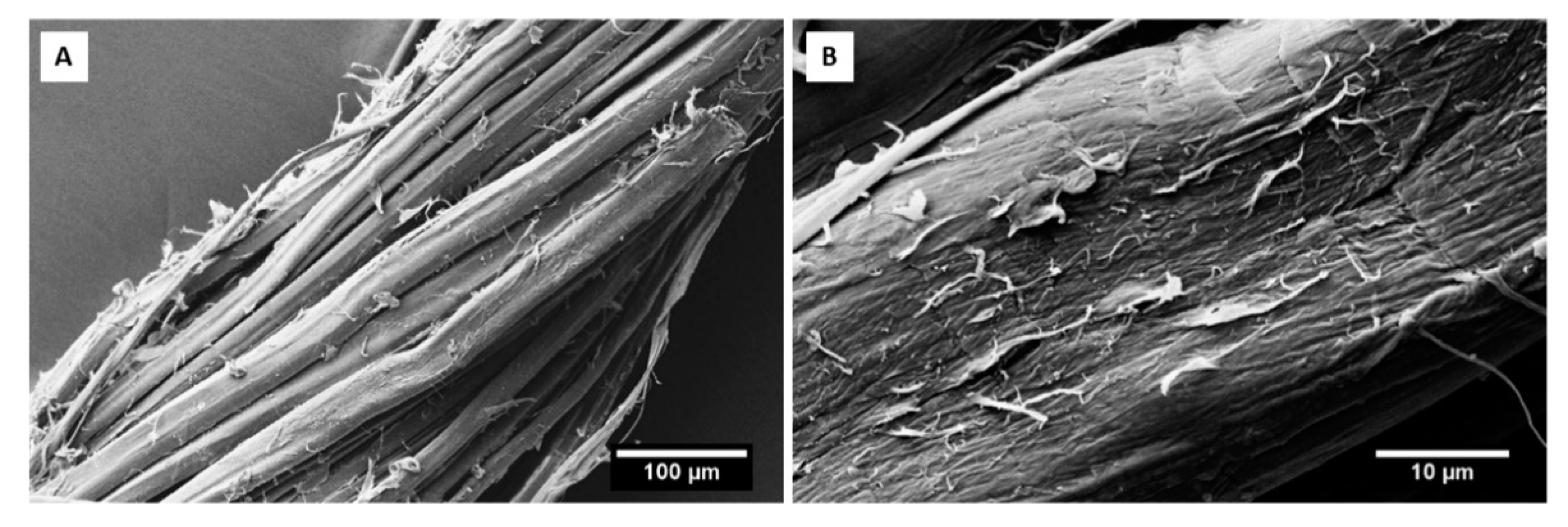 Molecules 25 00438 g002