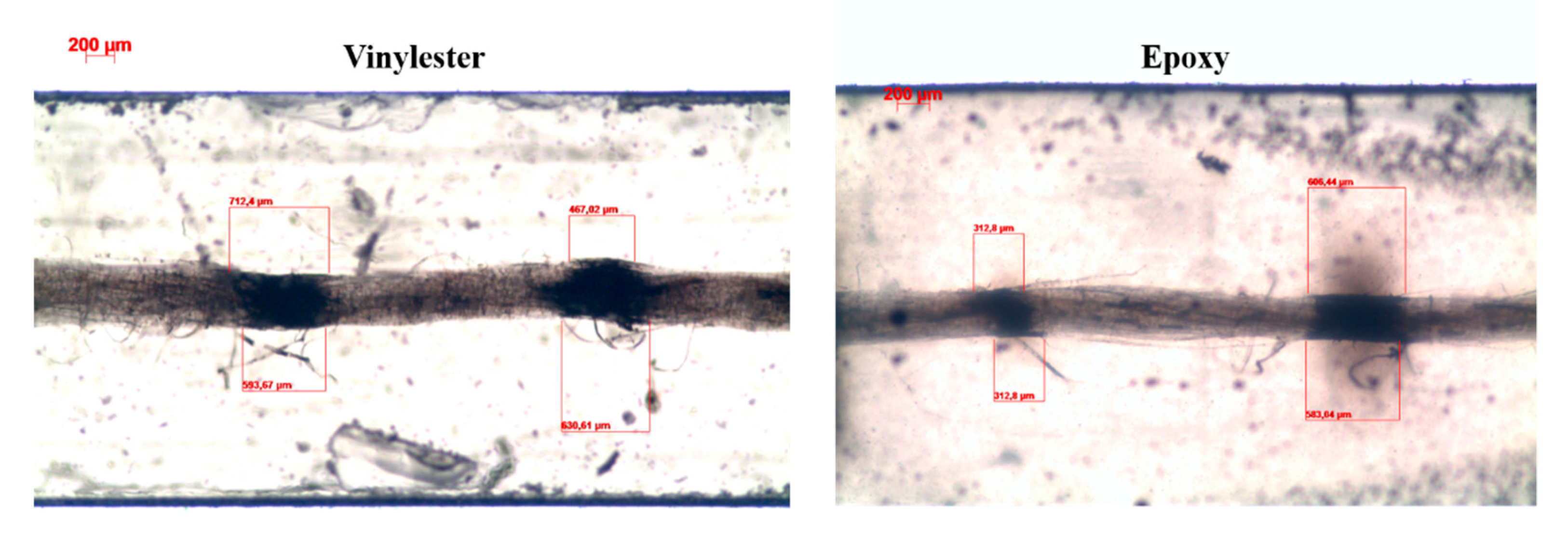 Molecules 25 00438 g007