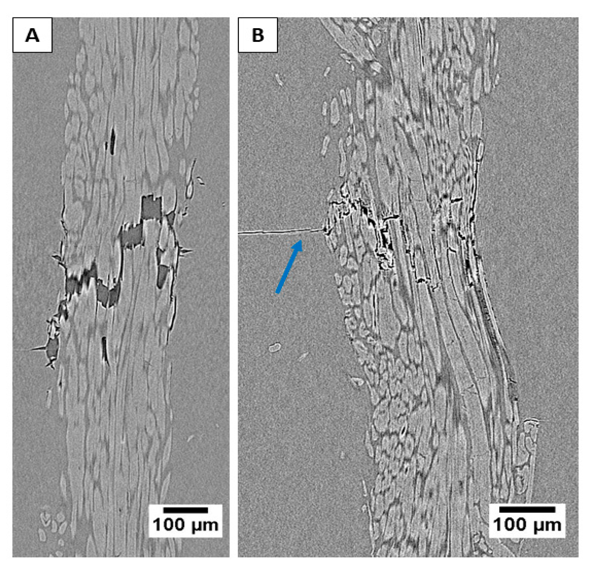 Molecules 25 00438 g008