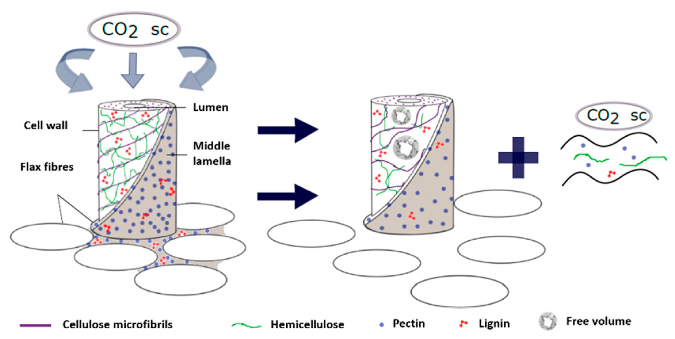 Molecules 25 00438 sch001