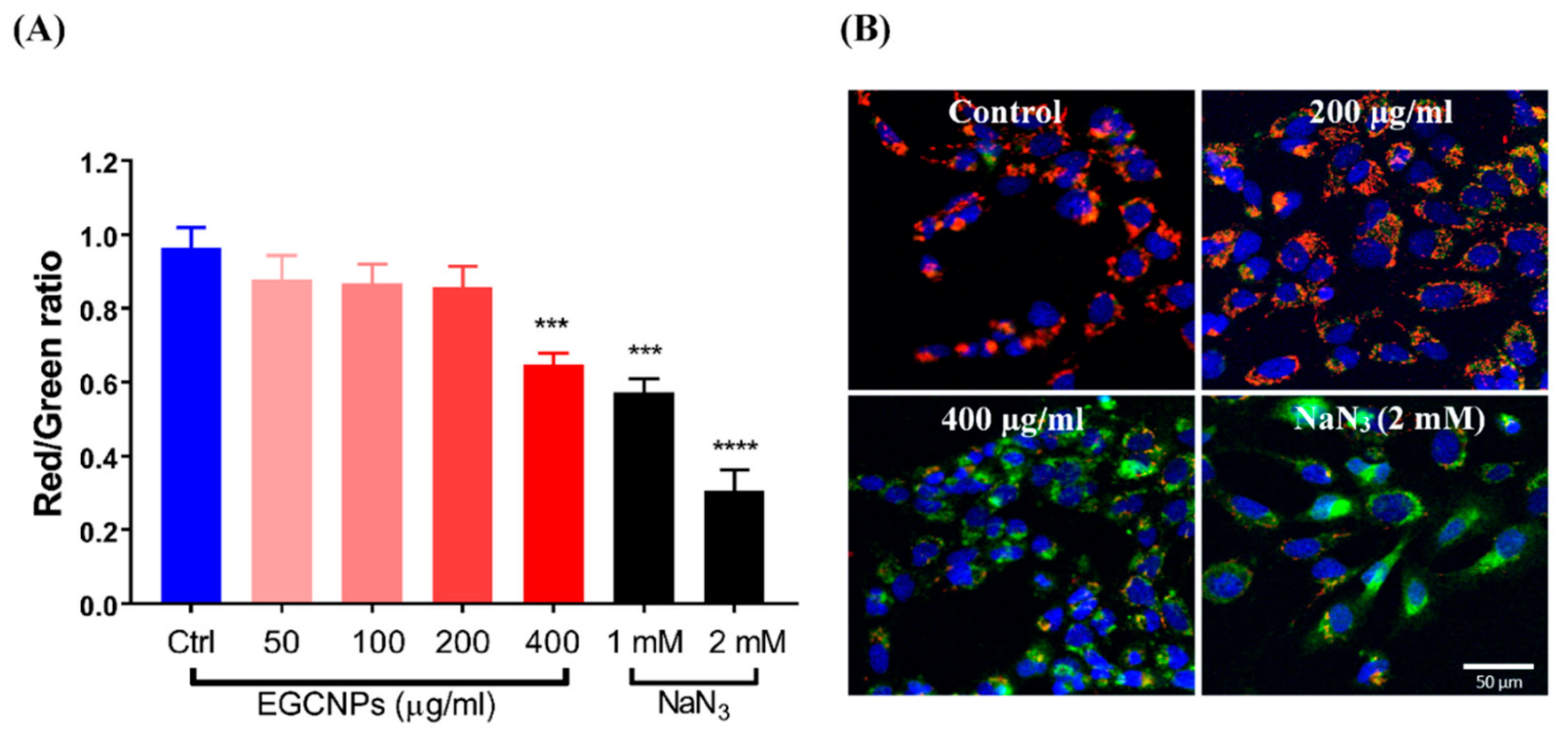 Molecules 25 00441 g005 Molecules 25 00441 g005