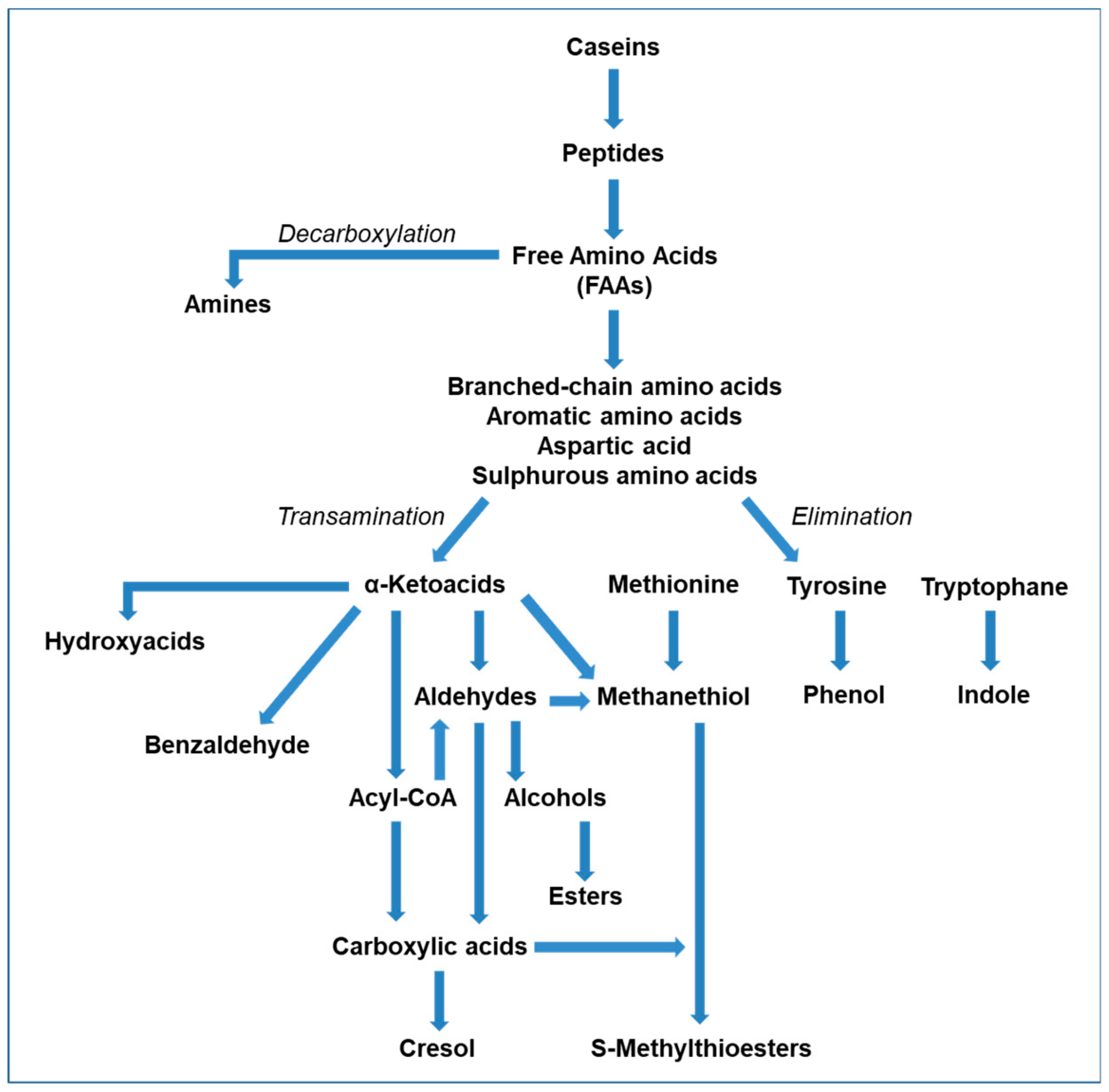 Molecules Free Full Text Volatile Flavor Compounds In Cheese As Affected By Ruminant Diet Html