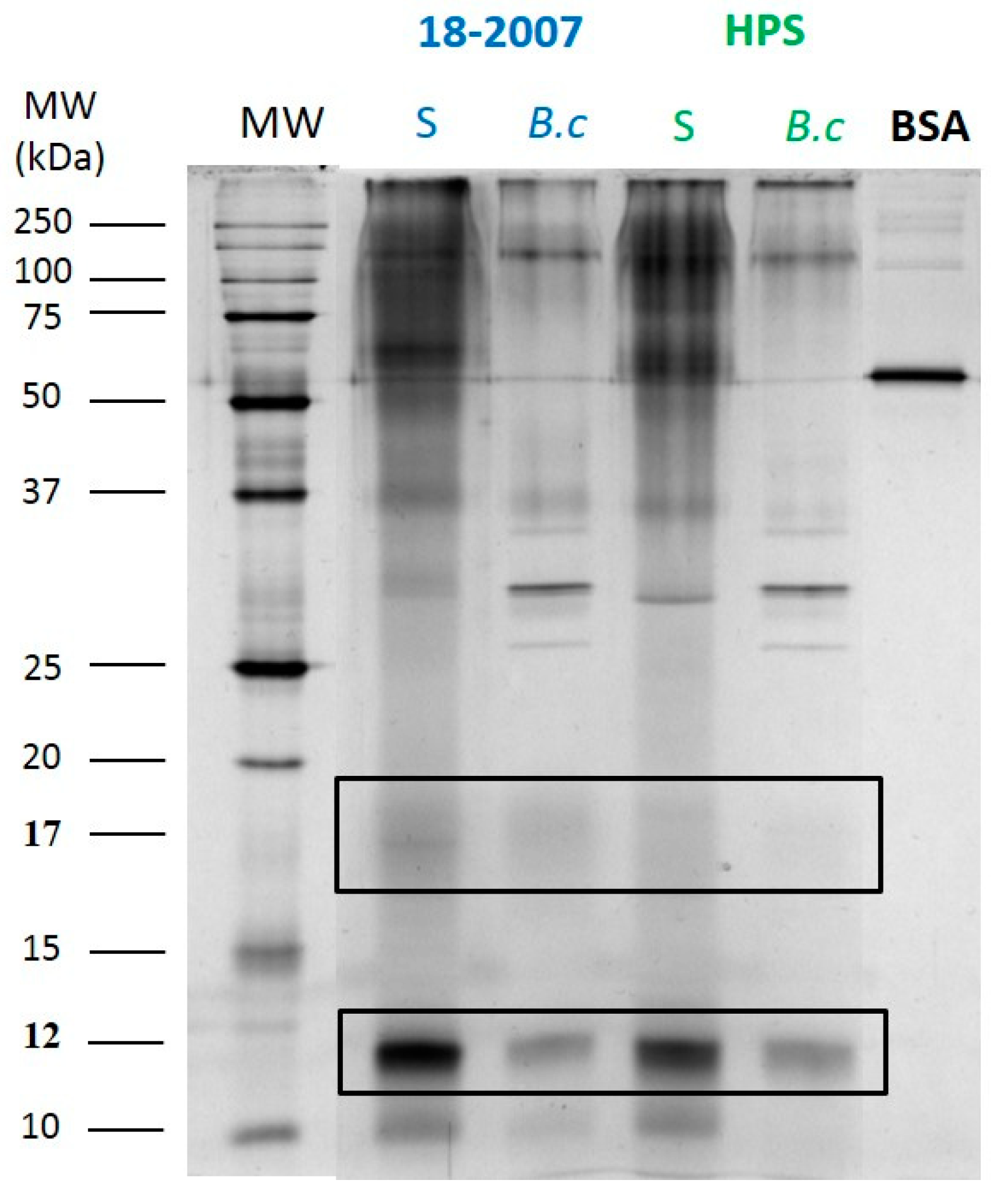 Molecules 25 00472 g003