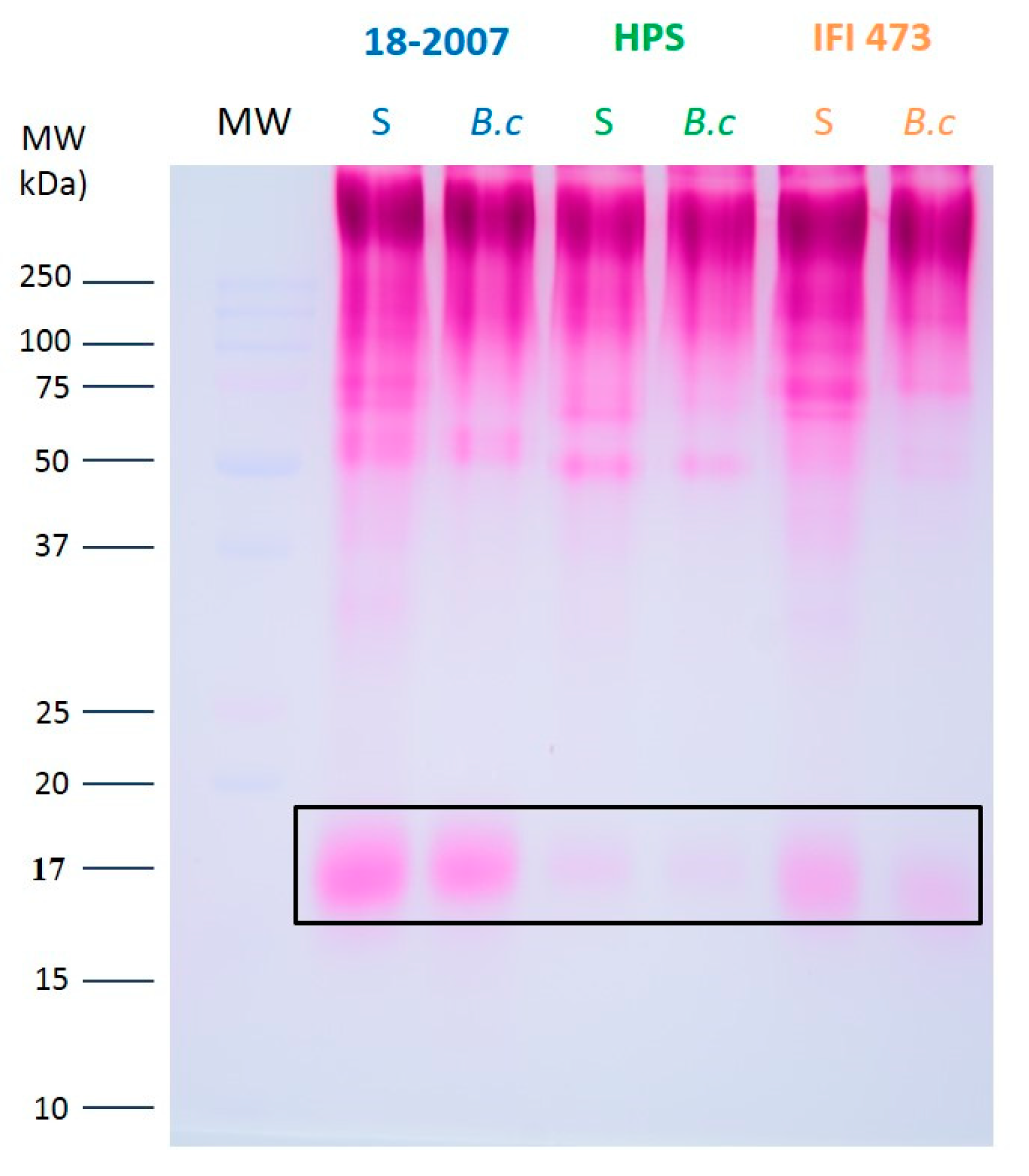 Molecules 25 00472 g005