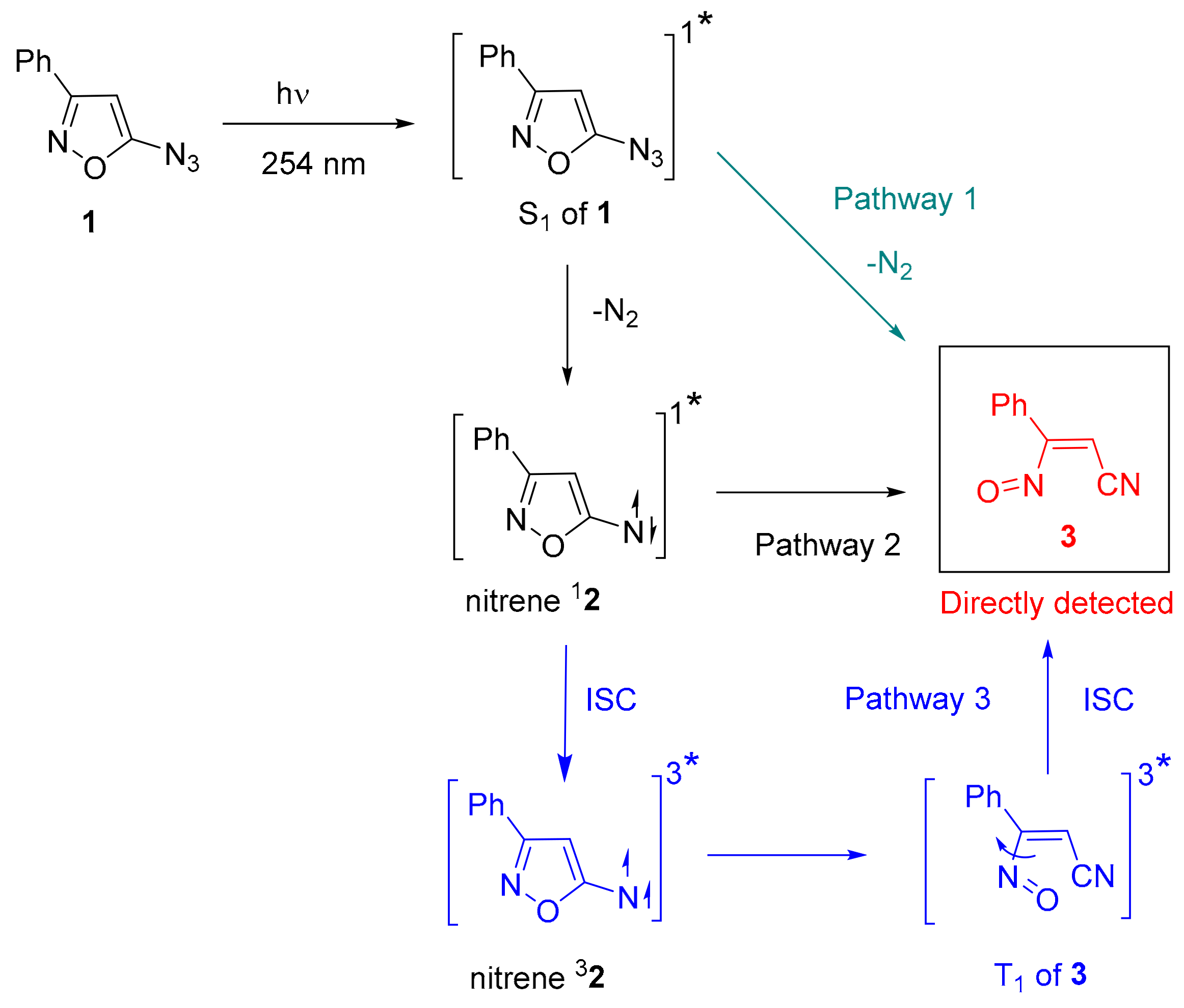 Molecules 25 00543 sch004 Molecules 25 00543 sch004