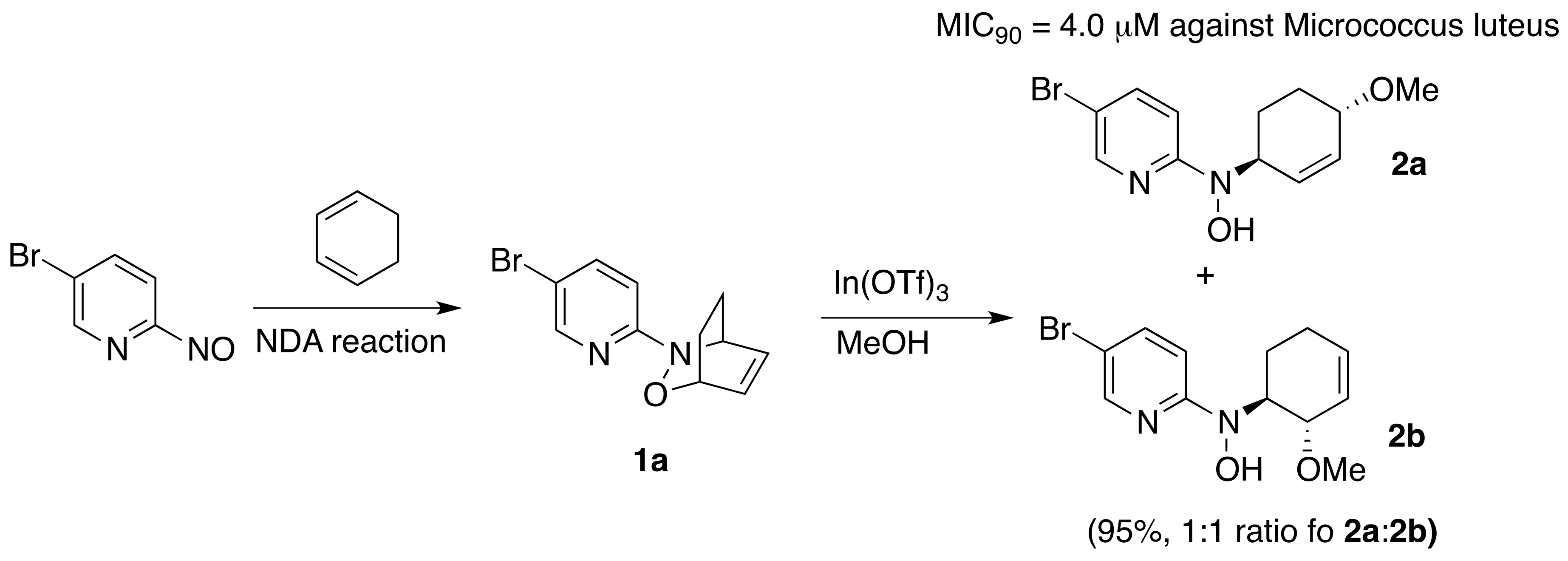 Molecules 25 00563 sch002 Molecules 25 00563 sch002
