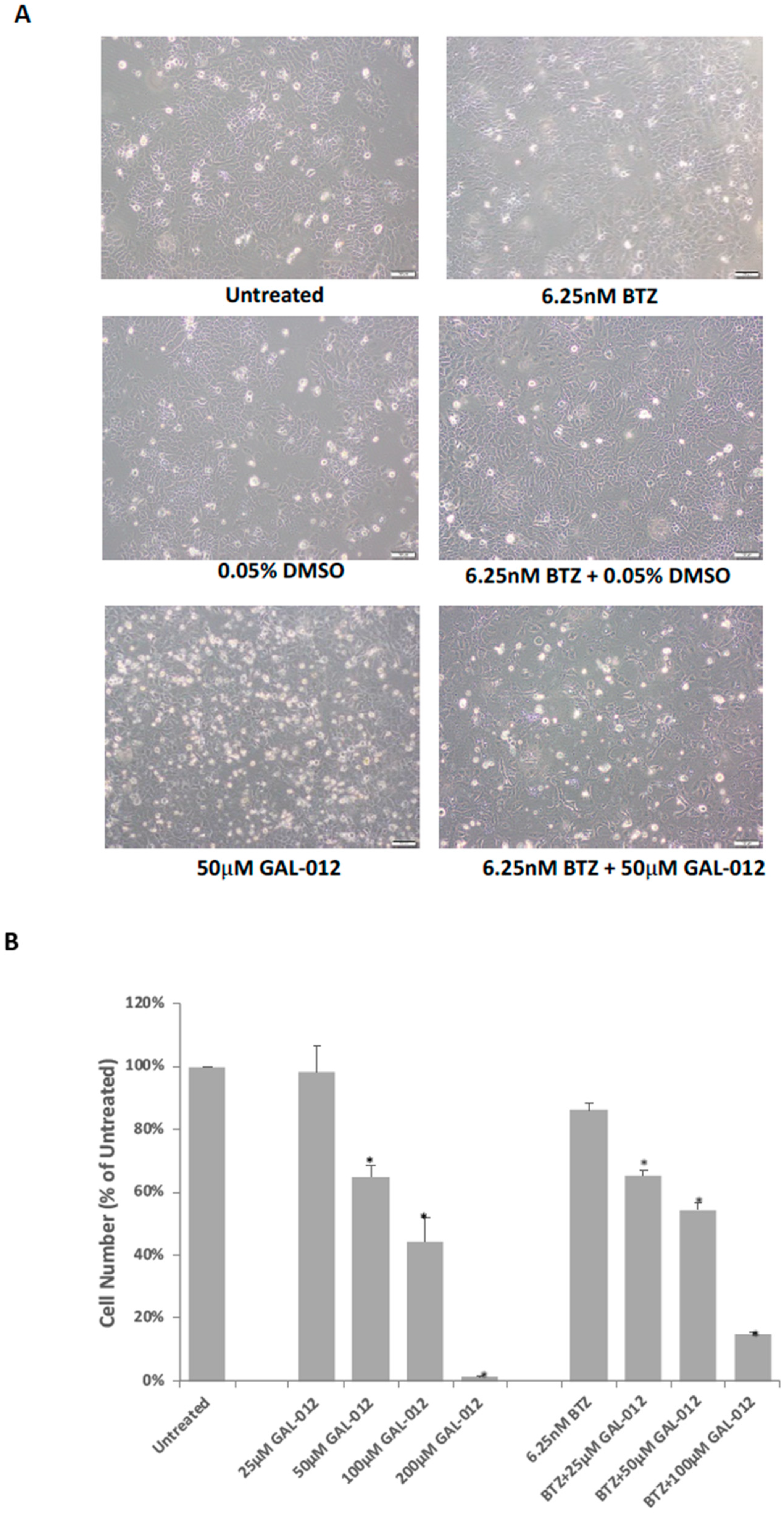Molecules 25 00645 g007