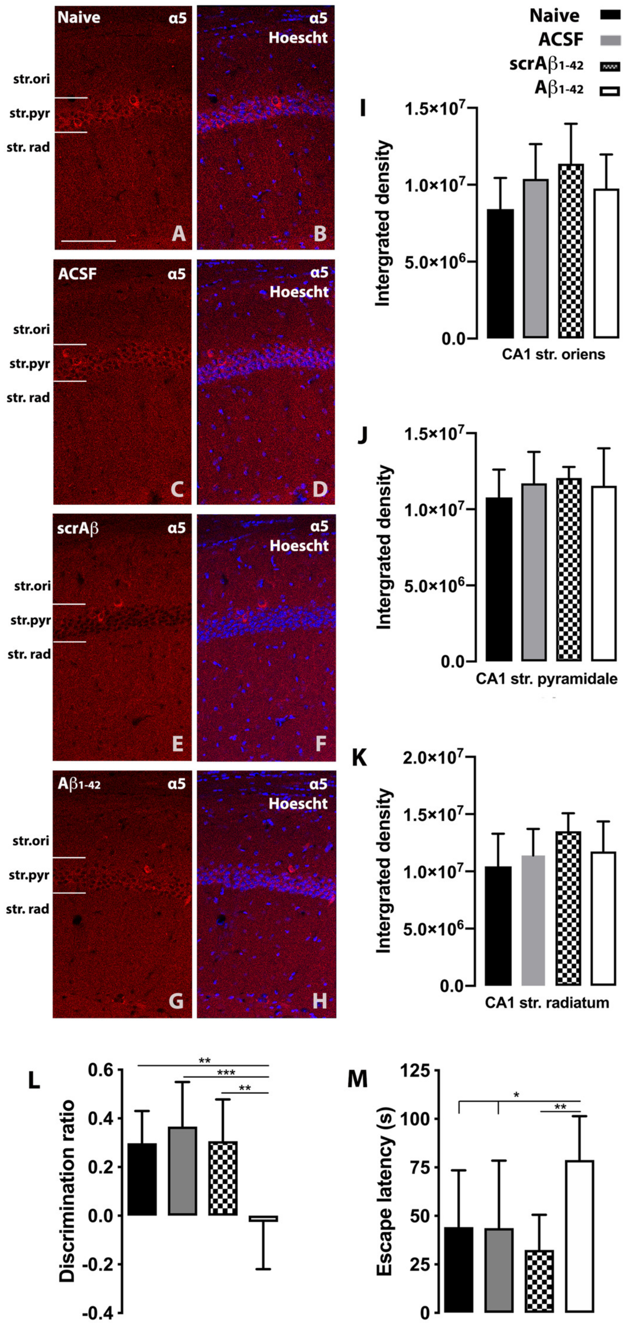 Molecules 25 00693 g002