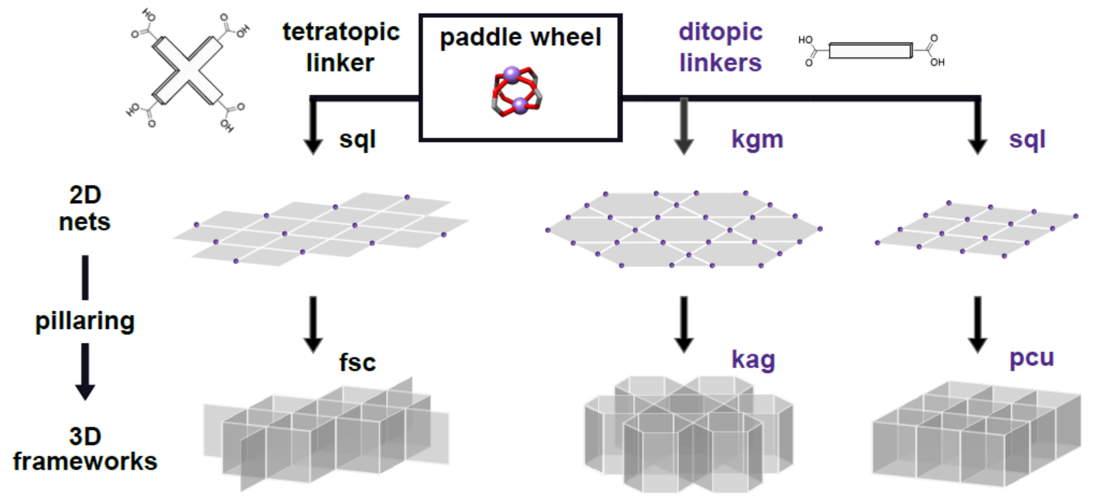 Molecules 25 00697 g001