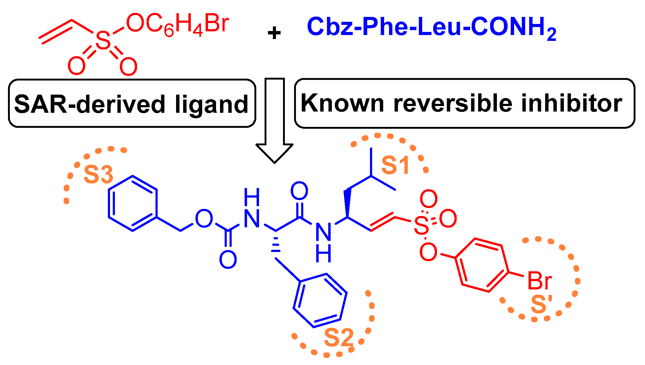 Molecules 25 00698 g010
